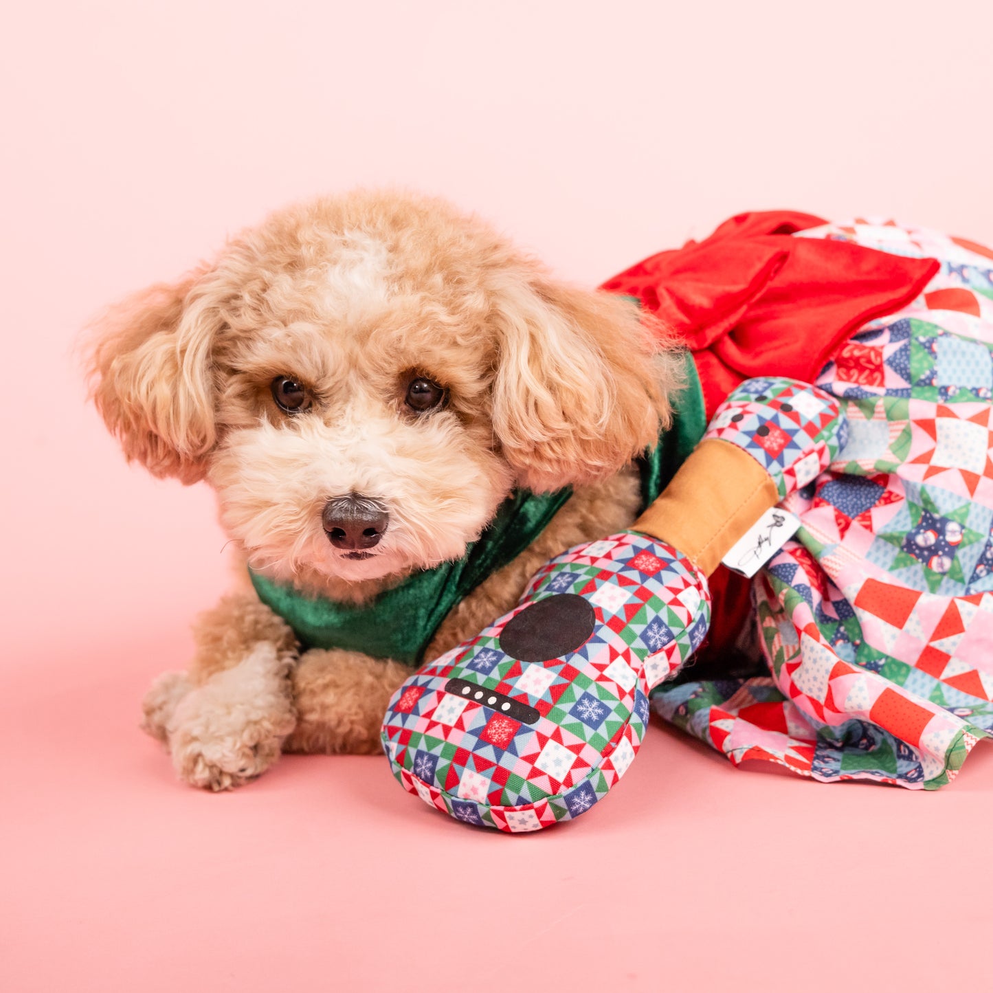 Snowflake Quilt Print Guitar Dog Toy