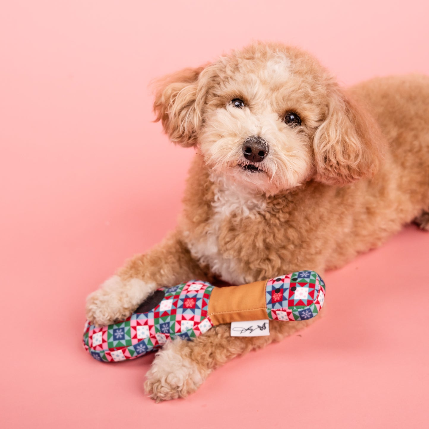 Snowflake Quilt Print Guitar Dog Toy