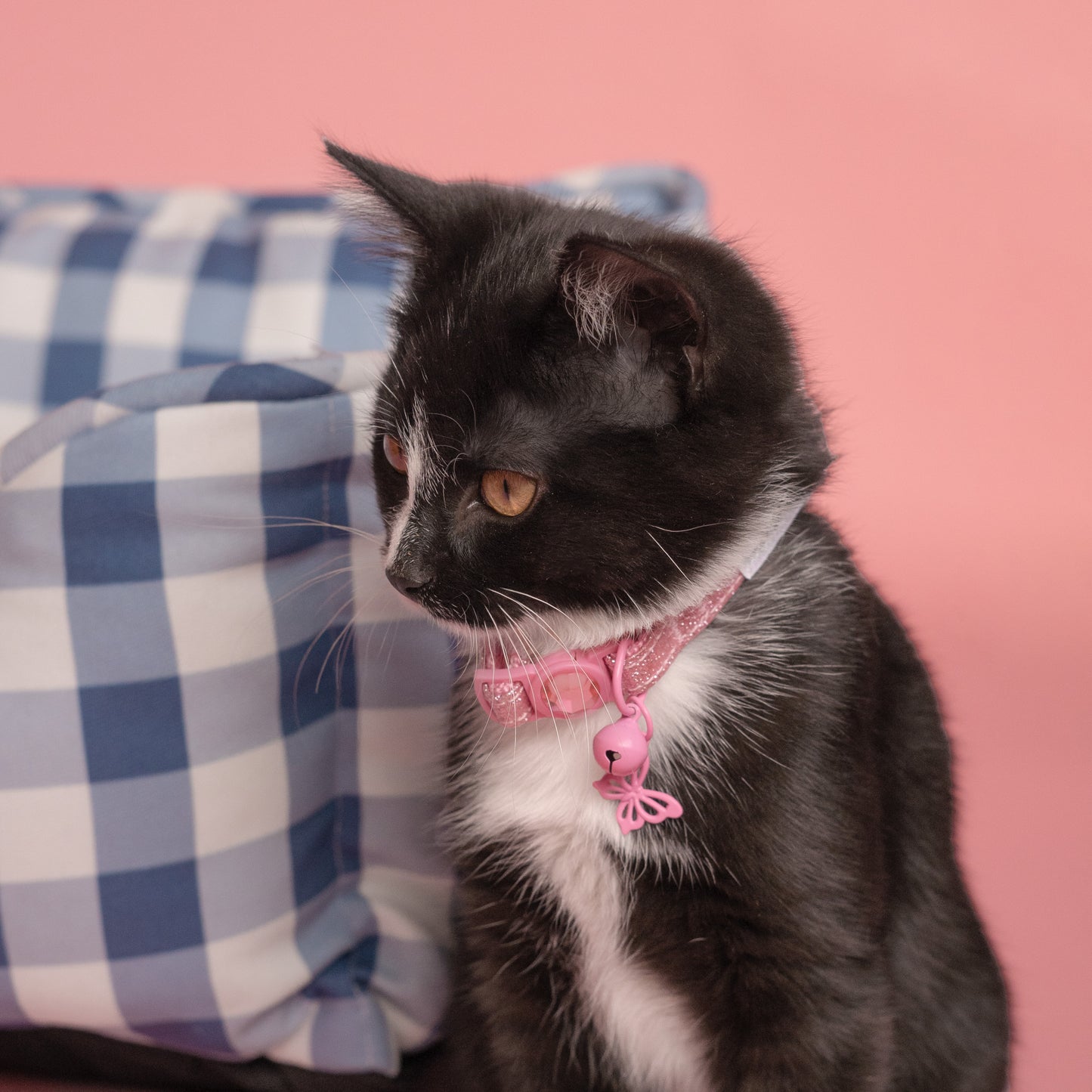 Dolly's Pretty Little Cat Collar - Pink