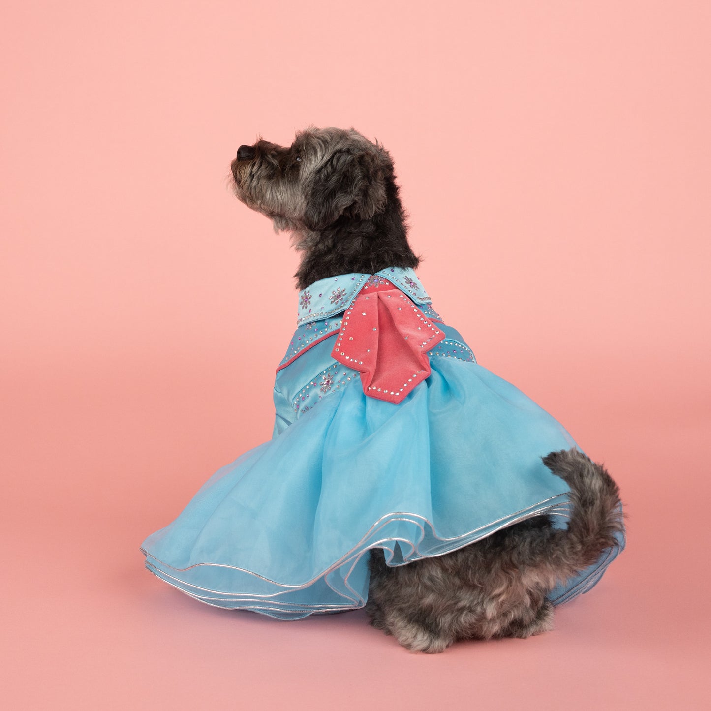 Western Rhinestone Tutu Pet Dress - Blue