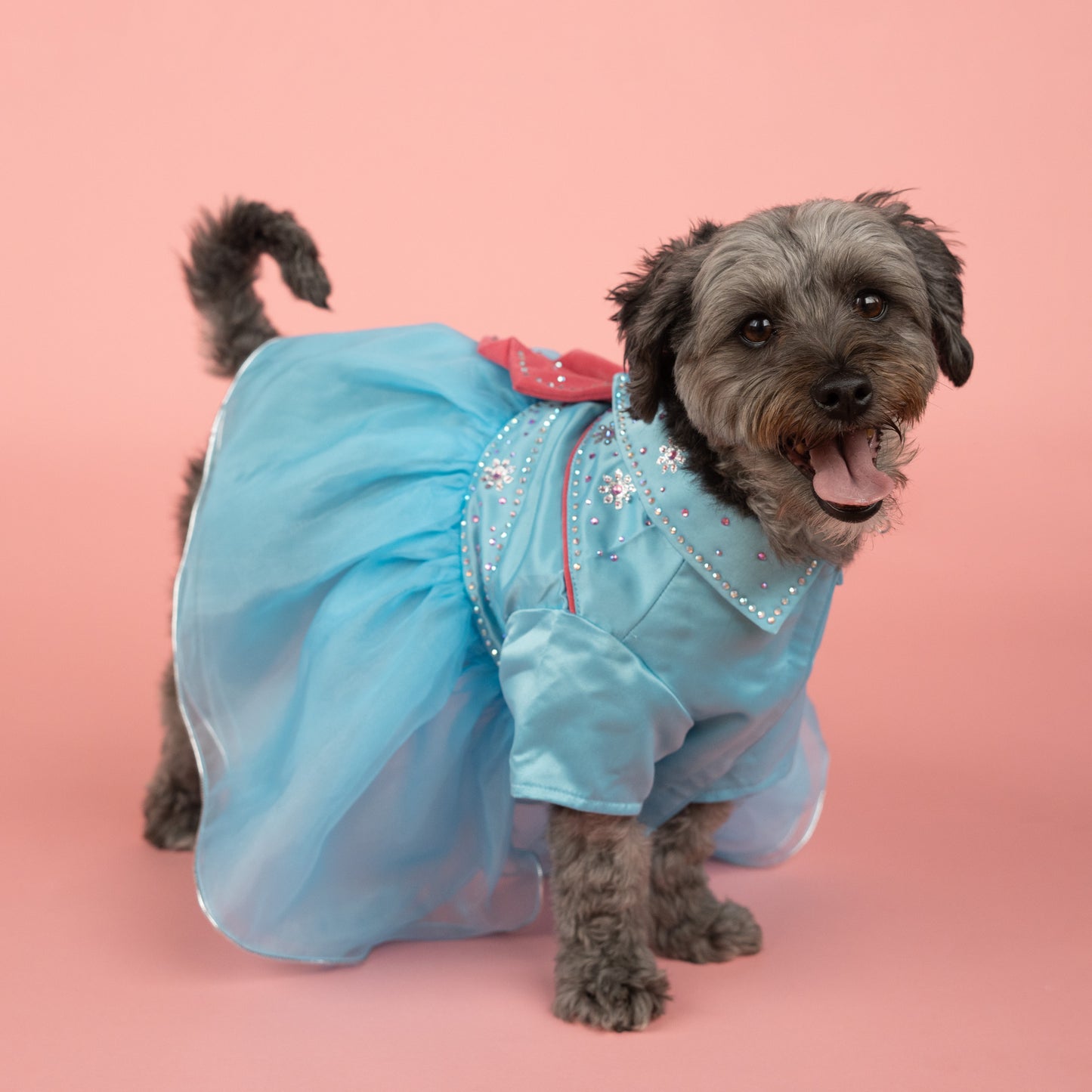 Western Rhinestone Tutu Pet Dress - Blue