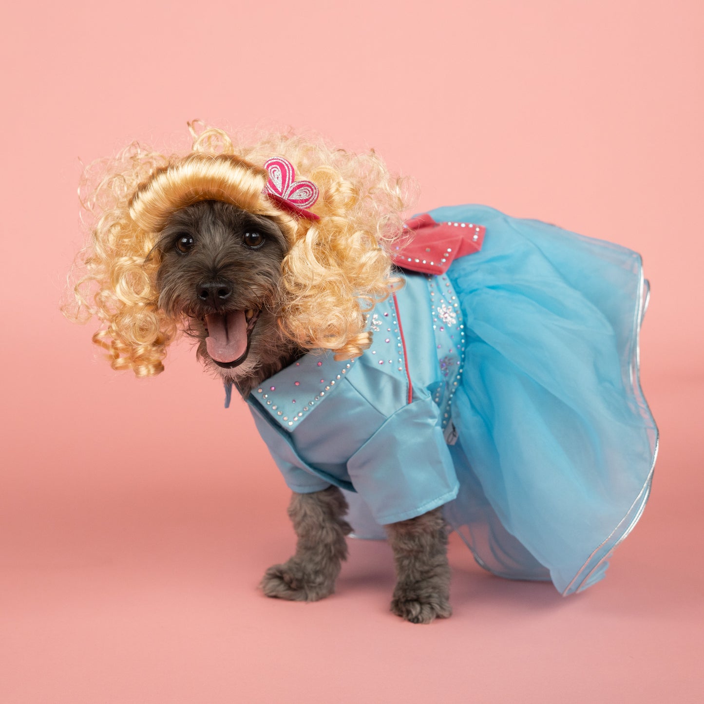 Western Rhinestone Tutu Pet Dress - Blue