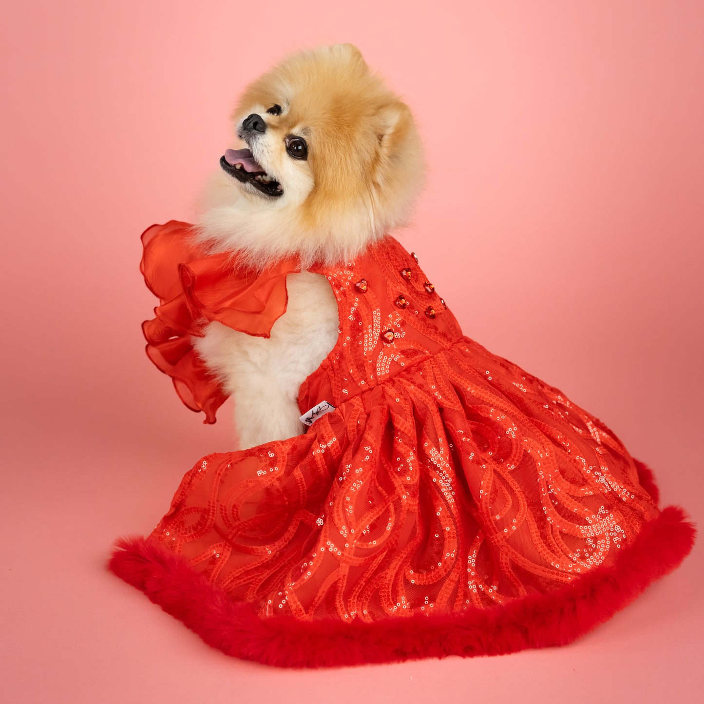 Evening Star Pet Gown - Red