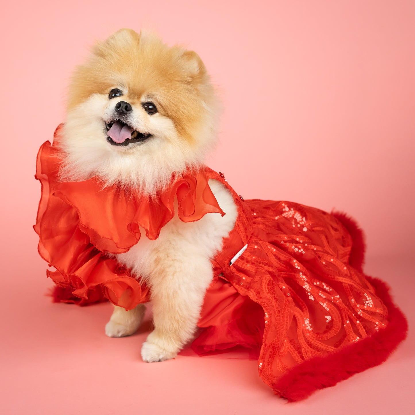 Evening Star Pet Gown - Red