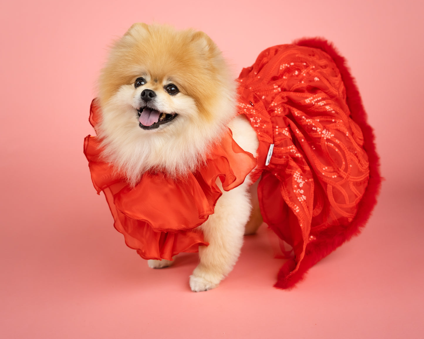 Evening Star Pet Gown - Red