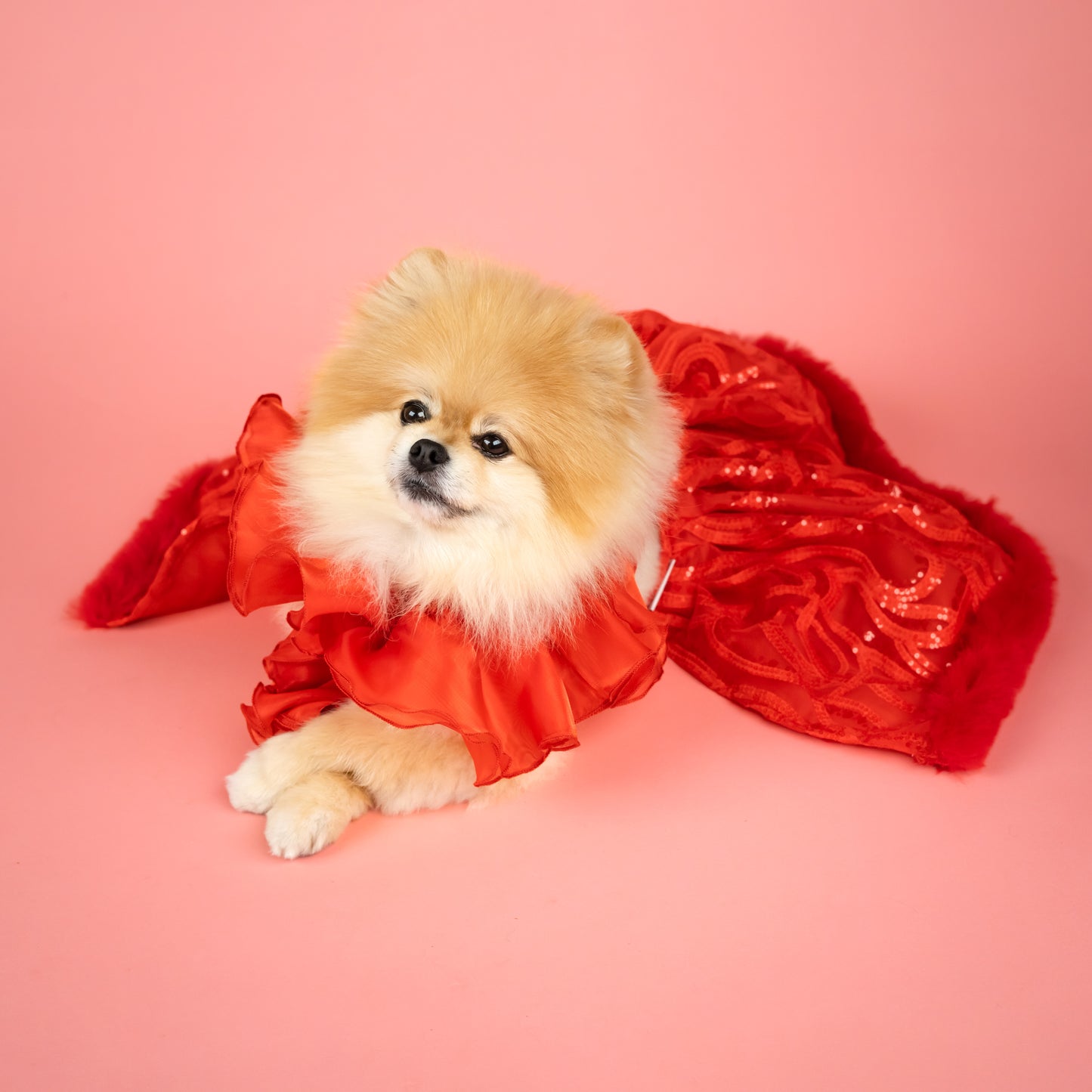 Evening Star Pet Gown - Red