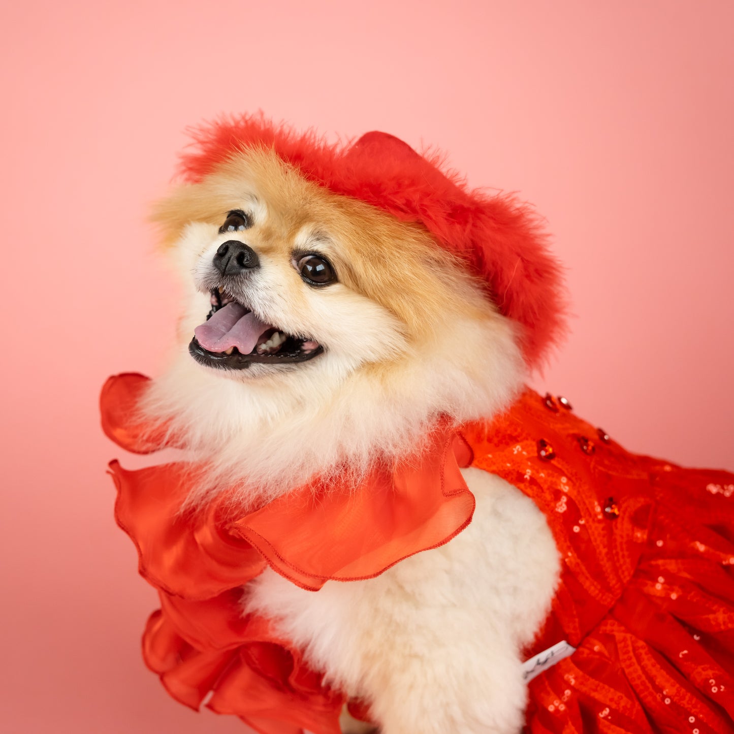 Red Fur-Trimmed Cowboy Hat for Pets