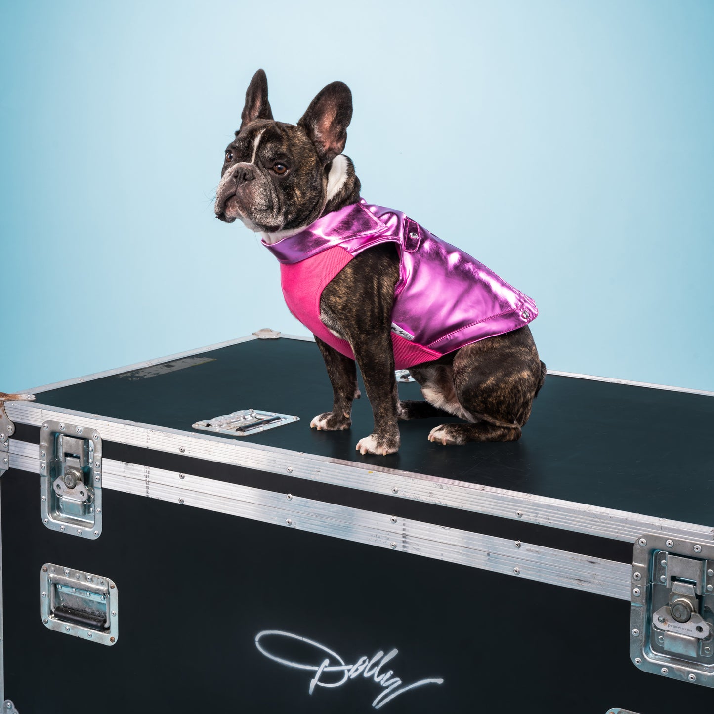 Dolly Rhinestone Moto Pet Jacket - Pink