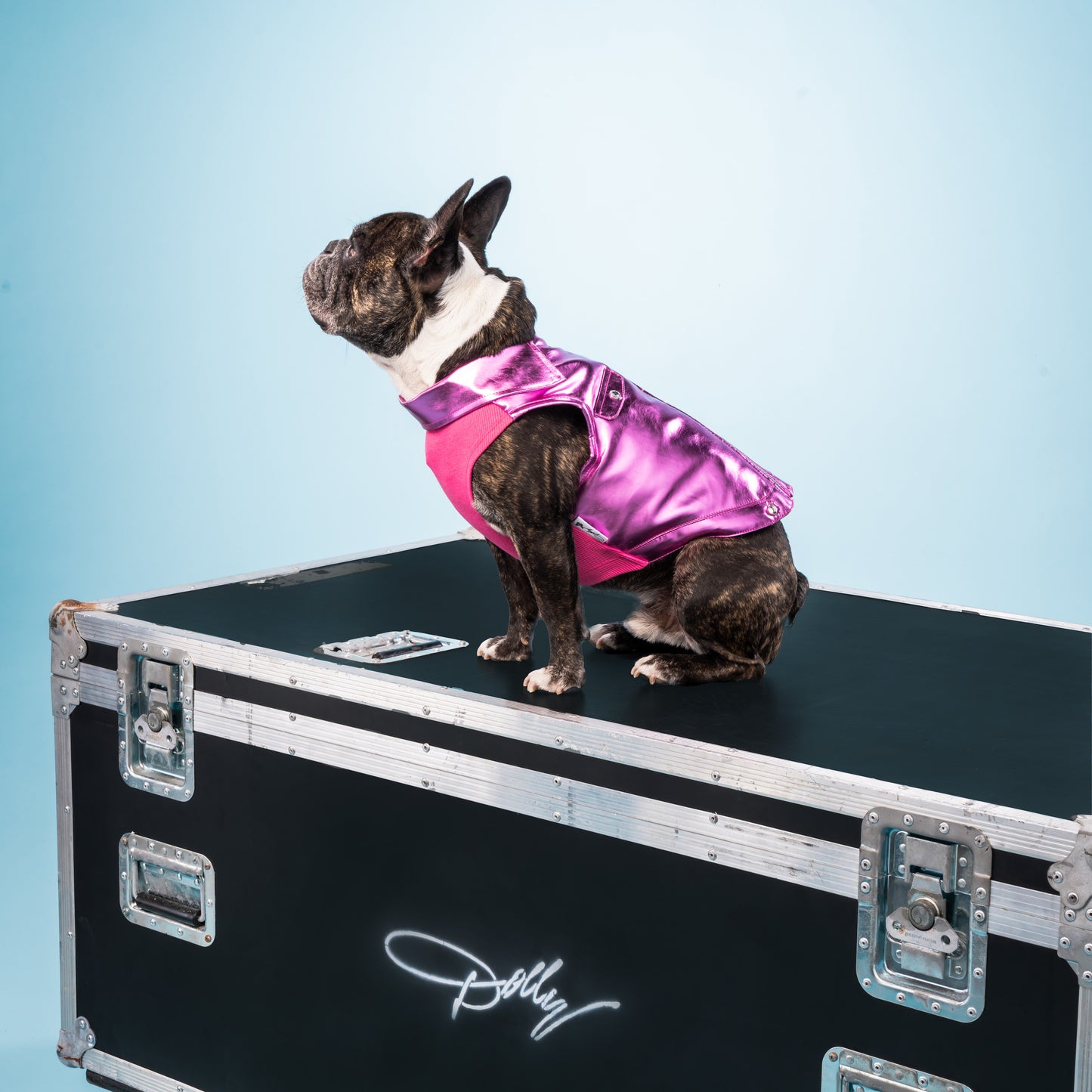 Dolly Rhinestone Moto Pet Jacket - Pink