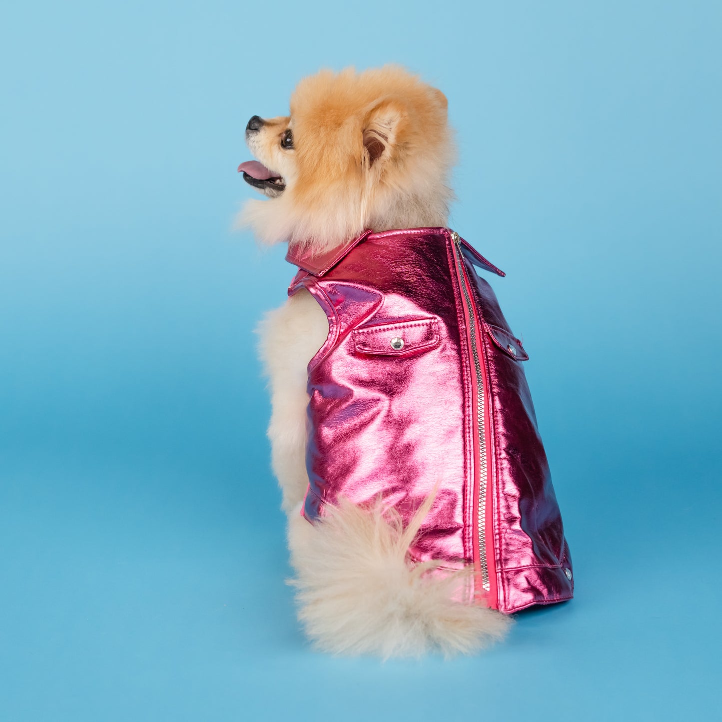 Dolly Rhinestone Moto Pet Jacket - Pink