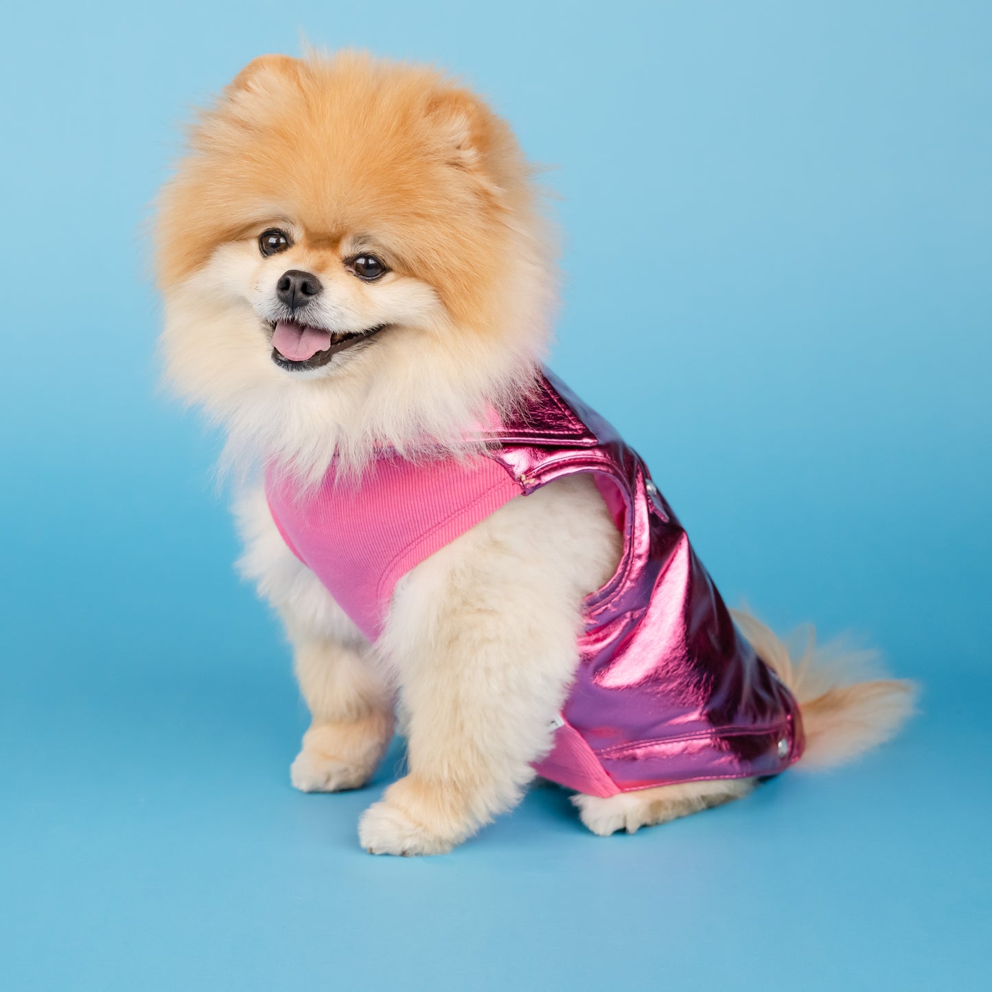 Dolly Rhinestone Moto Pet Jacket - Pink