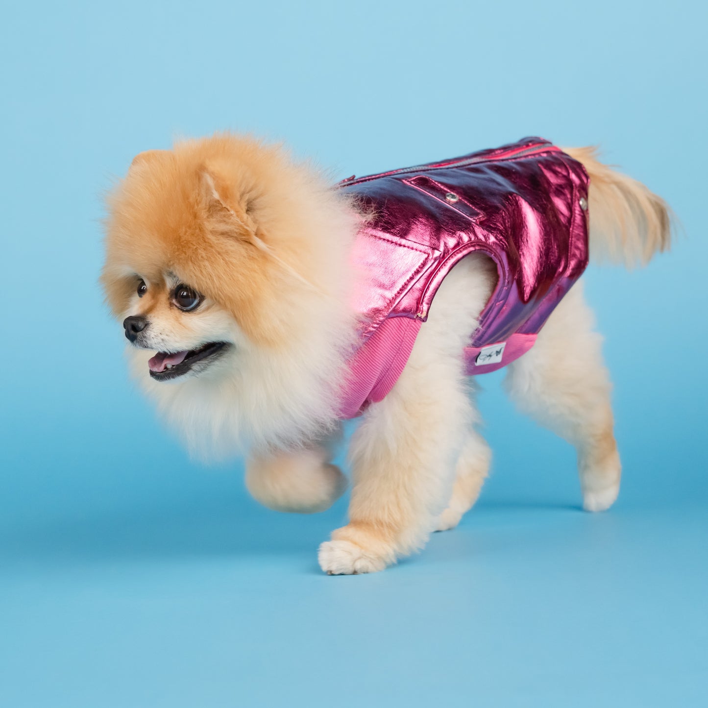 Dolly Rhinestone Moto Pet Jacket - Pink