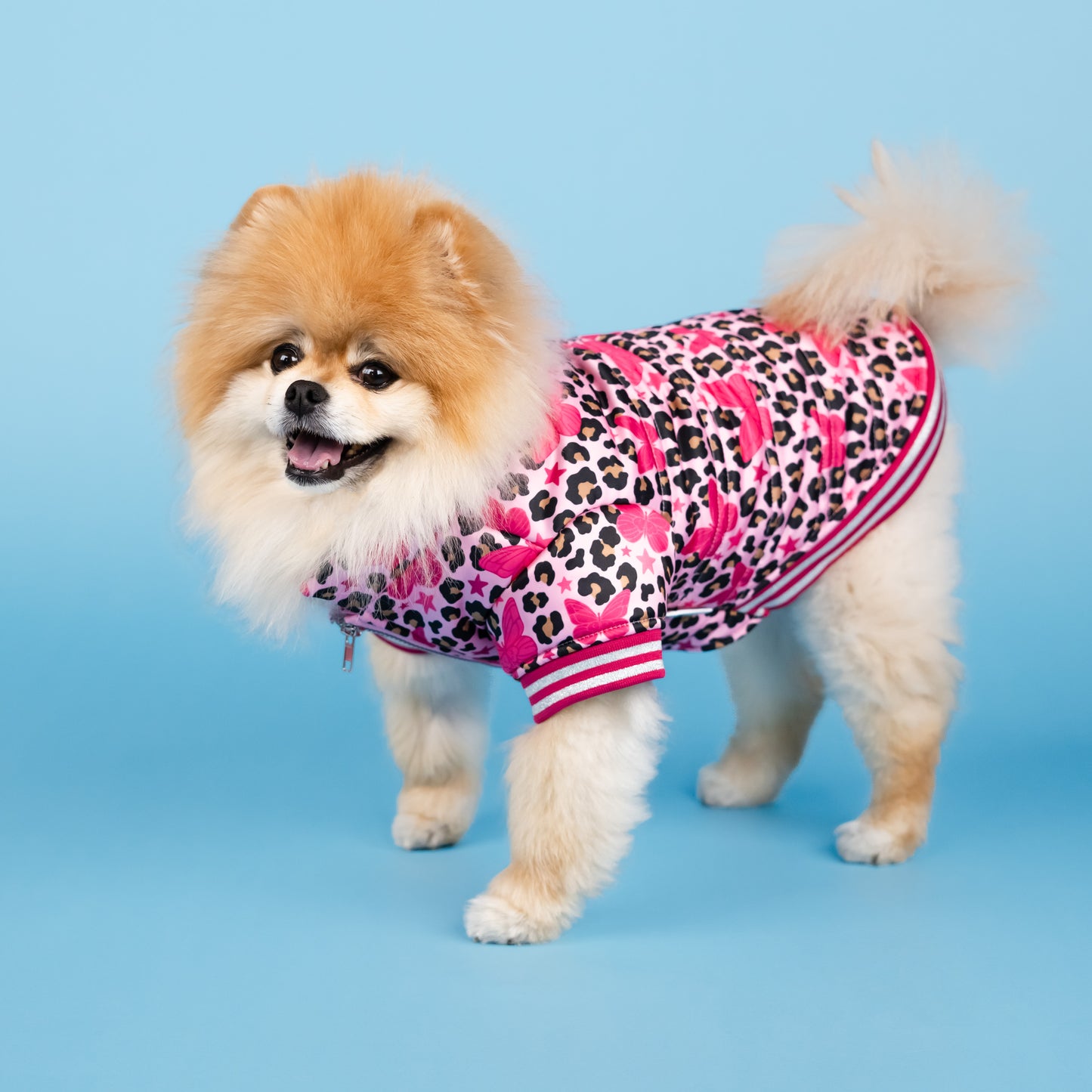 Dolly Butterfly Puffer Pet Jacket - Pink