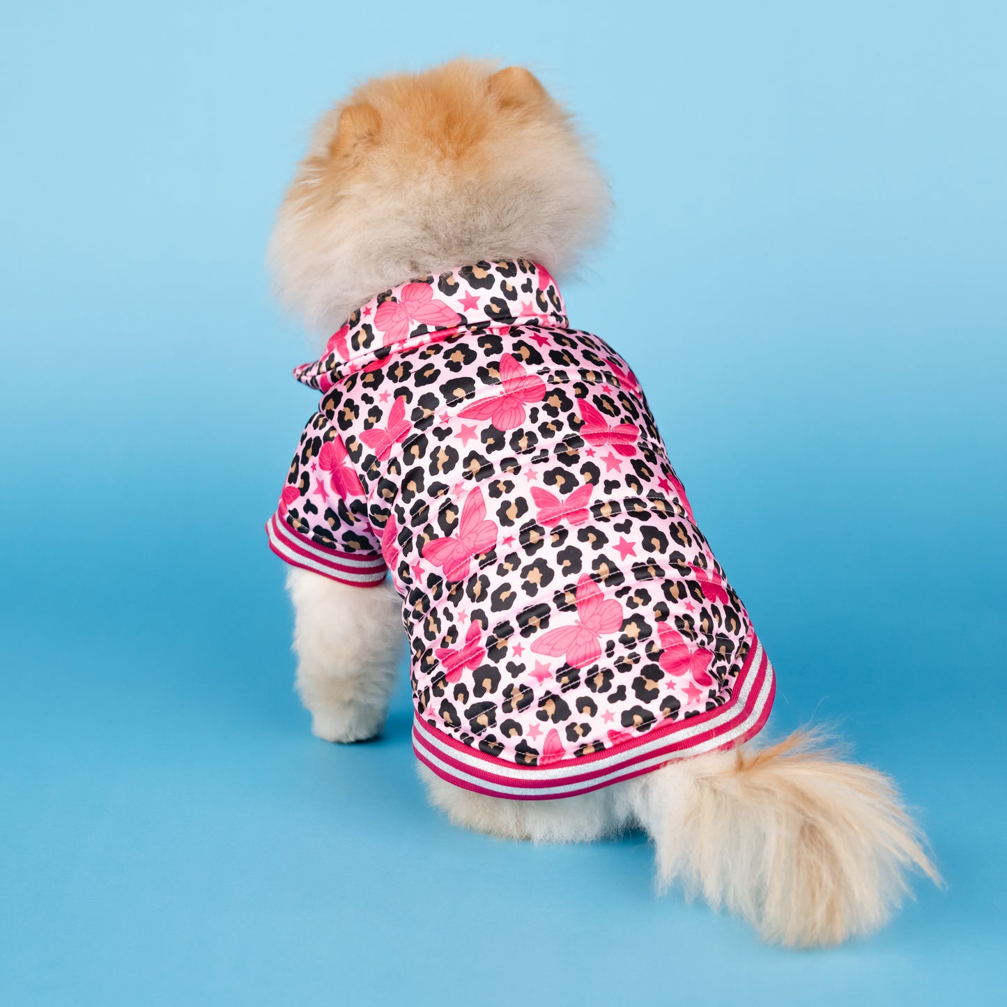 Dolly Butterfly Puffer Pet Jacket - Pink