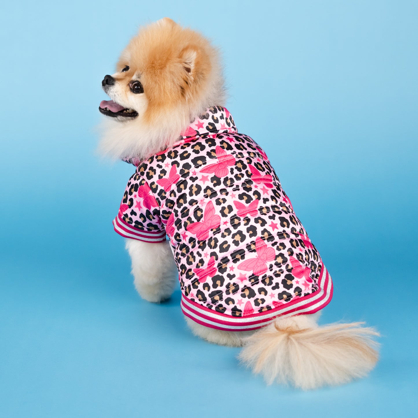 Dolly Butterfly Puffer Pet Jacket - Pink