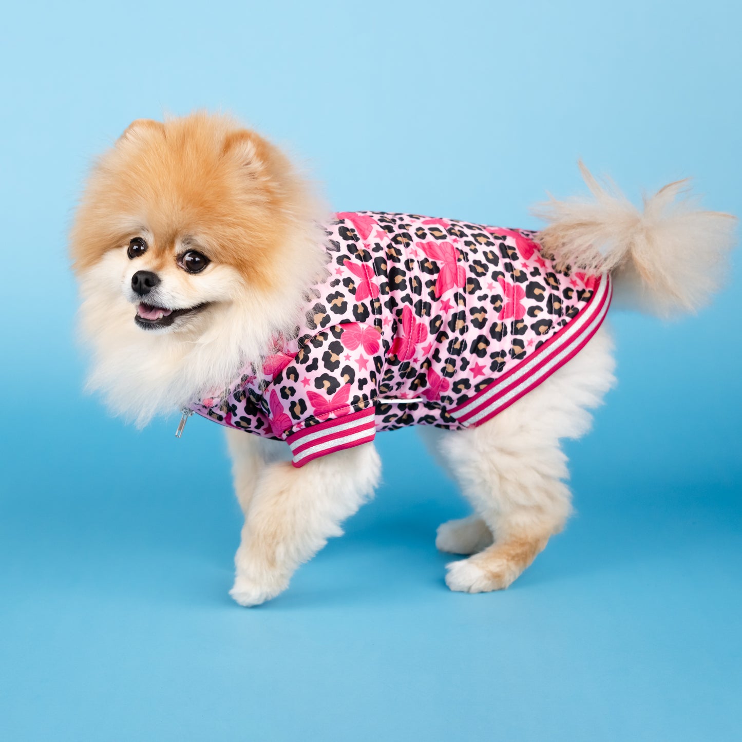 Dolly Butterfly Puffer Pet Jacket - Pink