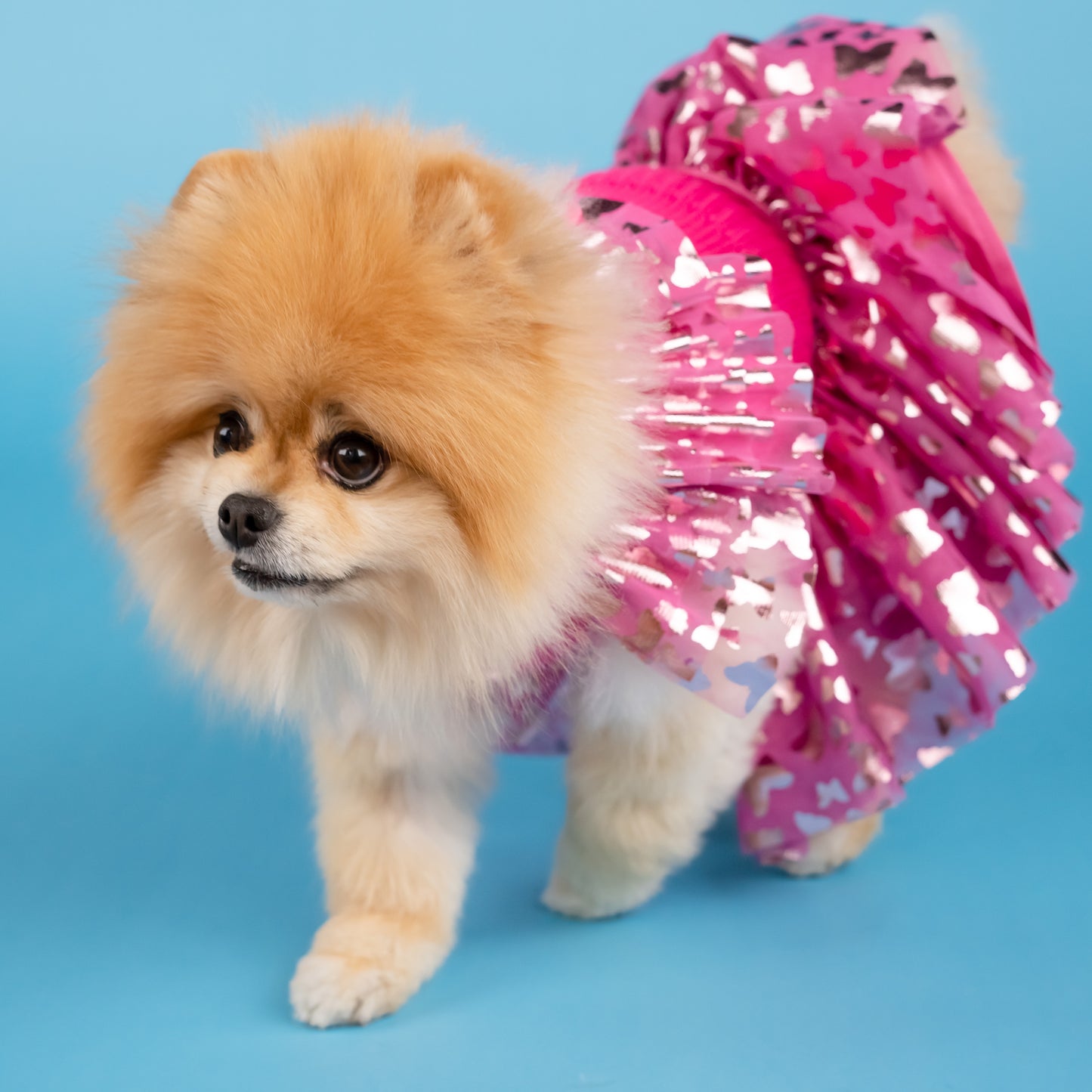 Dolly Ruffle Sweater and Skirt Set for Pets - Pink