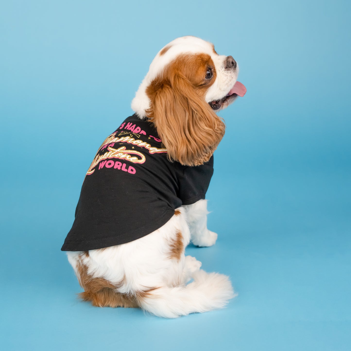 Hard To Be A Diamond Pet T-Shirt - Black