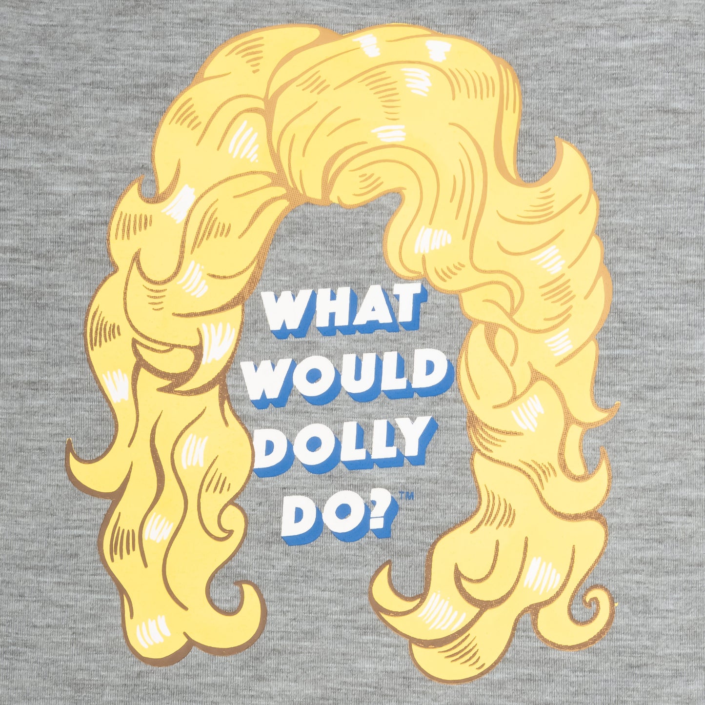 What Would Dolly Do Pet T-Shirt - Gray