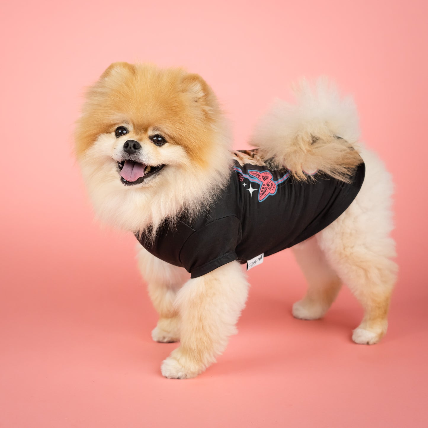 Better Days World Tour Pet T-Shirt - Black