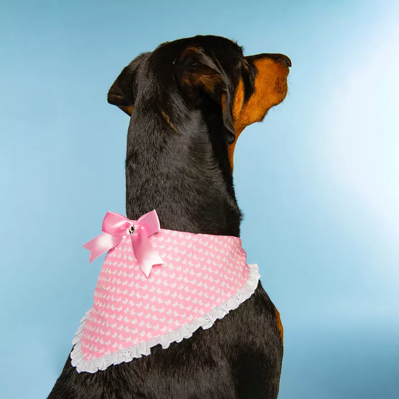 Pink Butterfly Print Dog Bandana for Pets