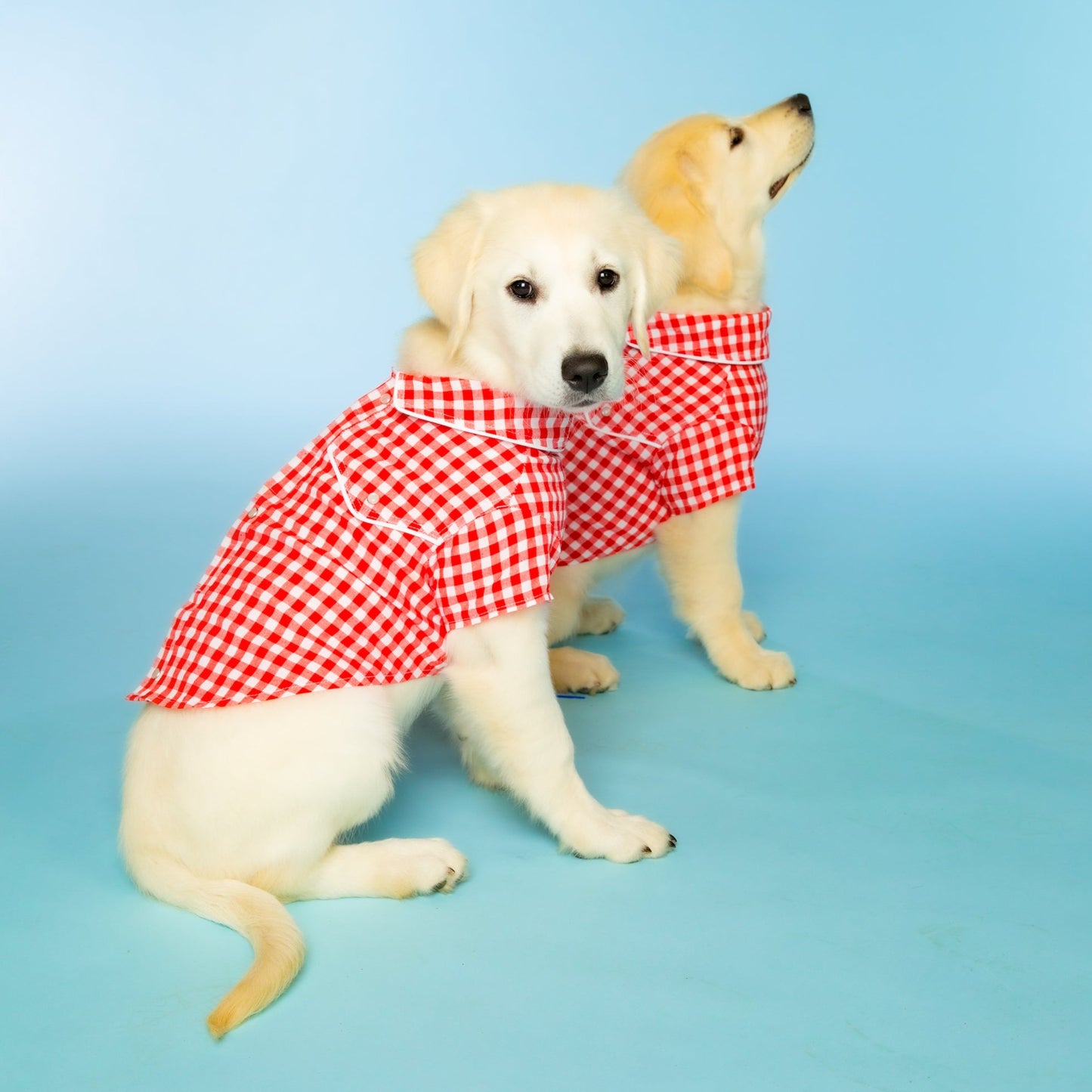 Red Gingham Western Collared Shirt