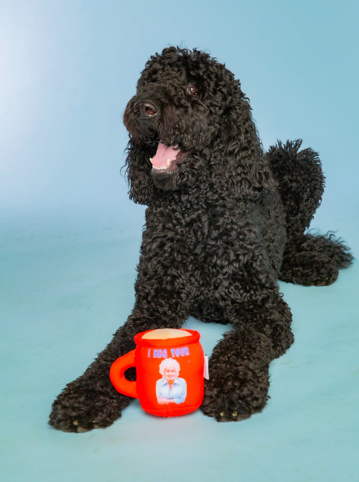 I Beg Your Parton Red Coffee Mug Plush Dog Squeaky Toy