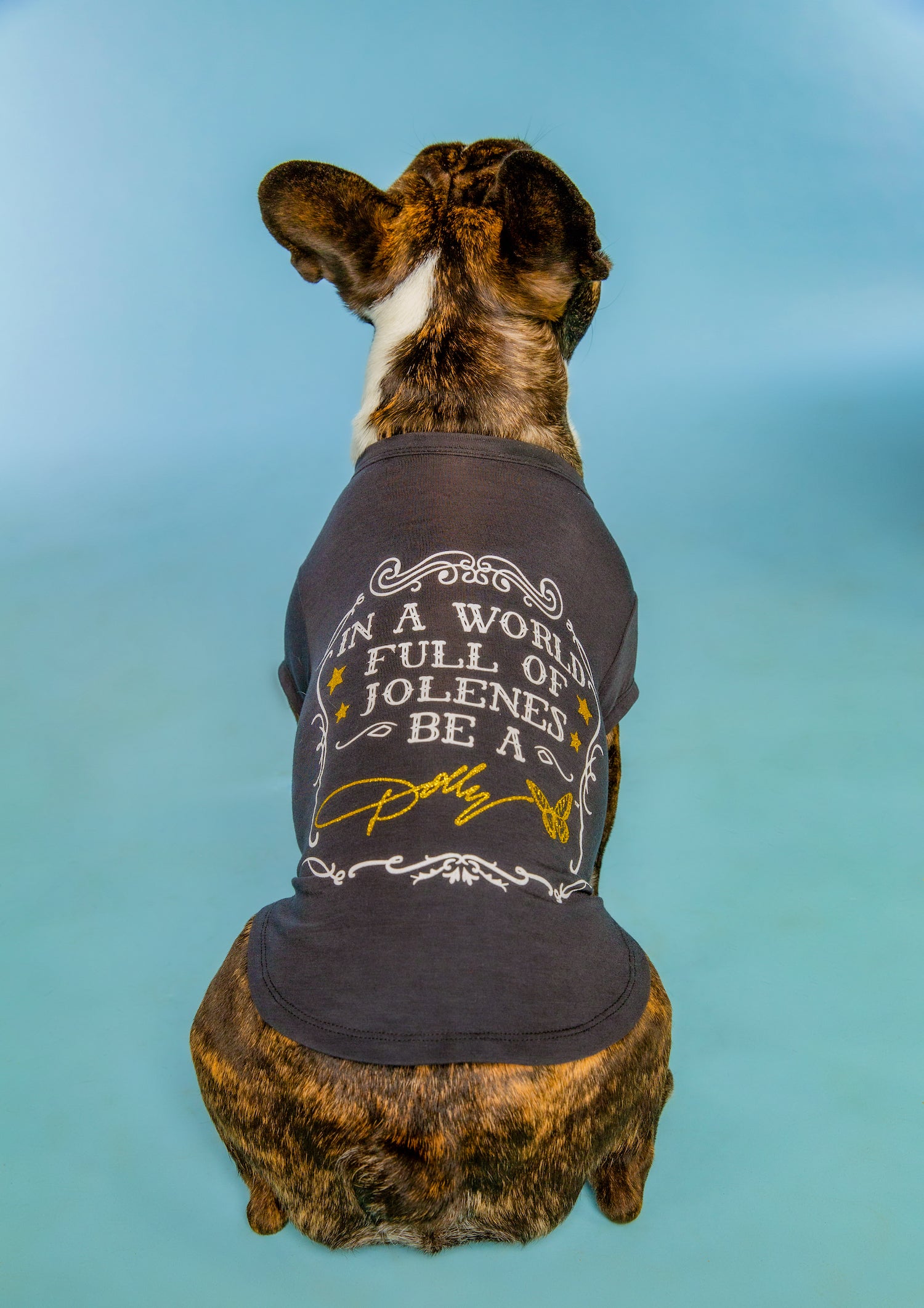 Doggy Parton - Blue Dolly & The Mighty Fine Band Shirt for Pets