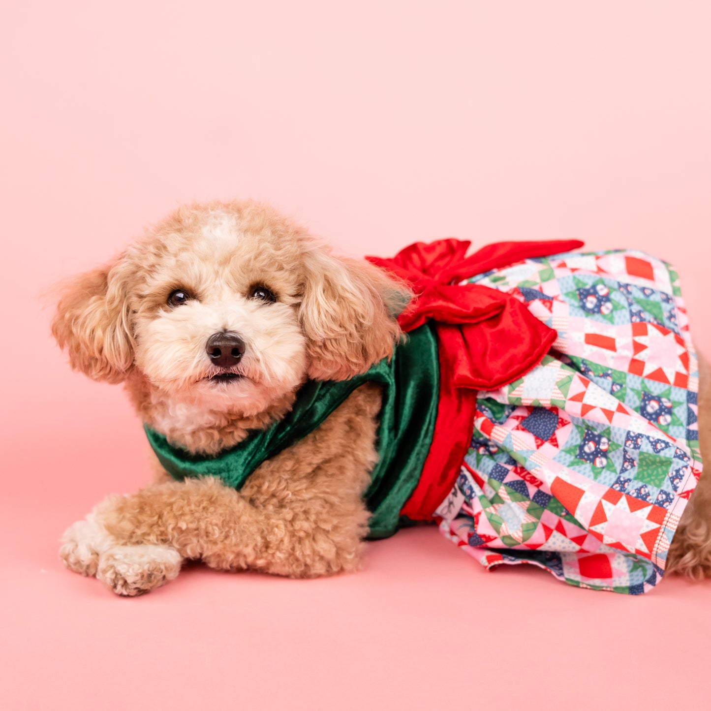 Snowflake Quilt Print Holiday Dress for Pets