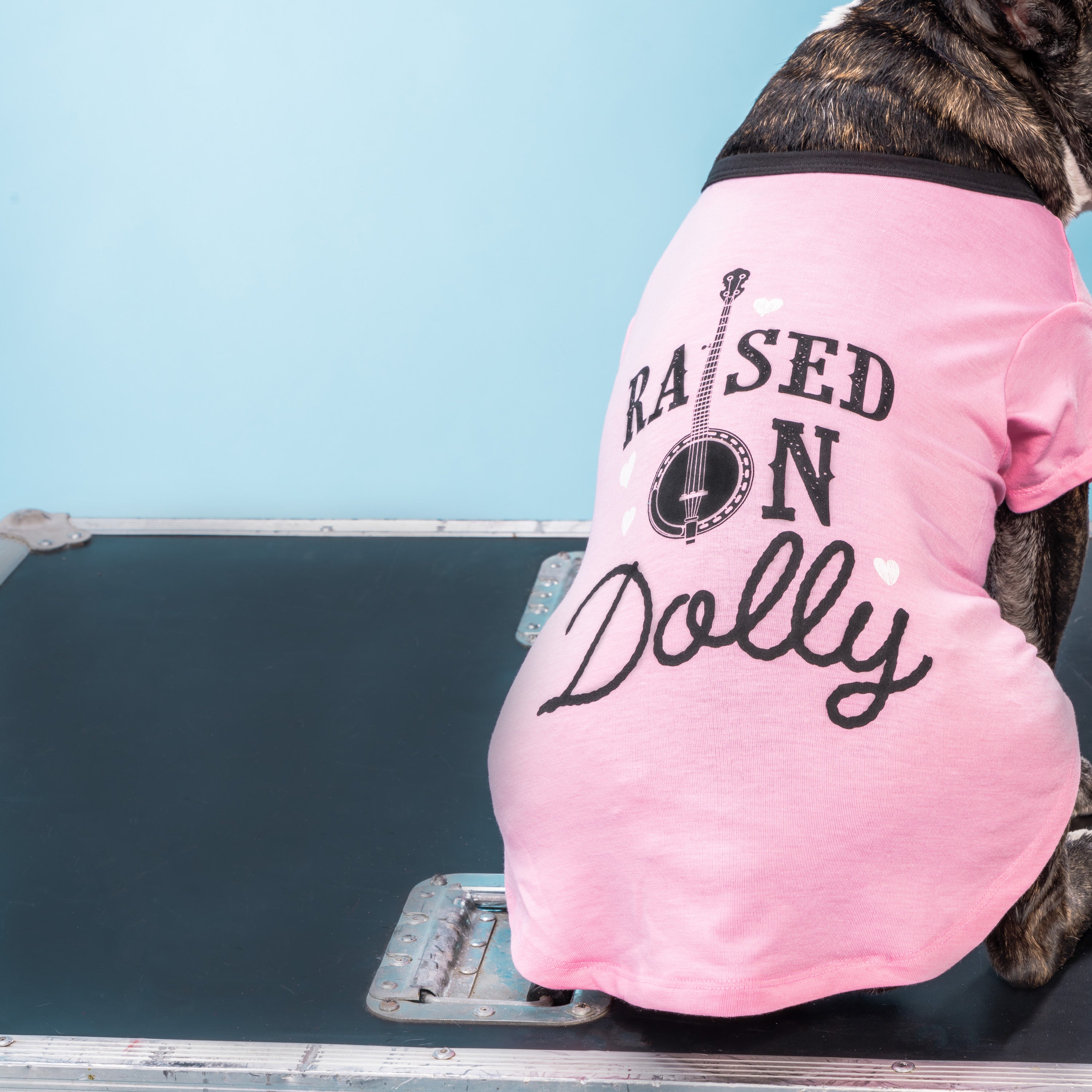 Pink dog hot sale logo shirt