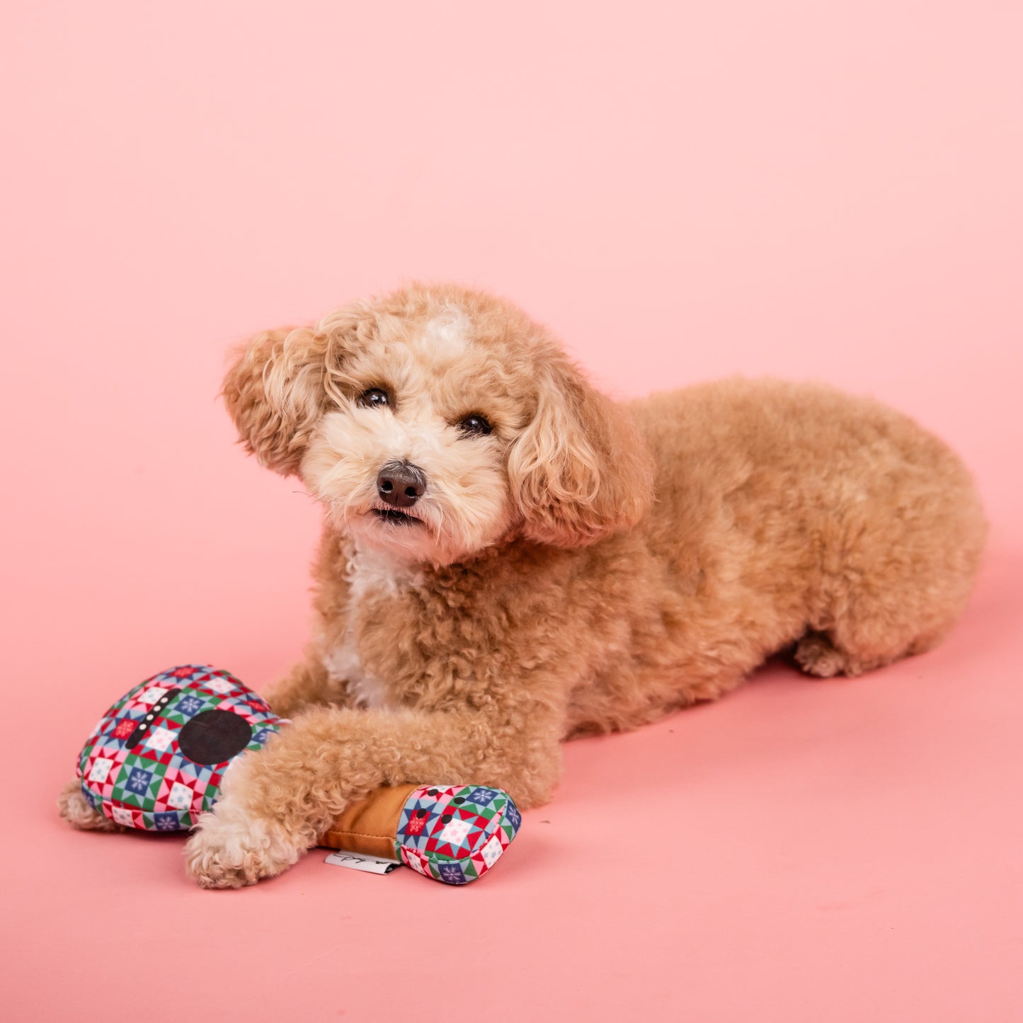 Snowflake Quilt Print Guitar Dog Toy