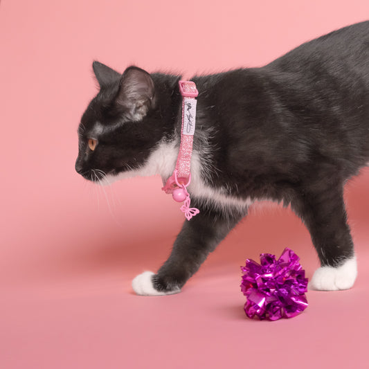 Dolly's Pretty Little Cat Collar - Pink