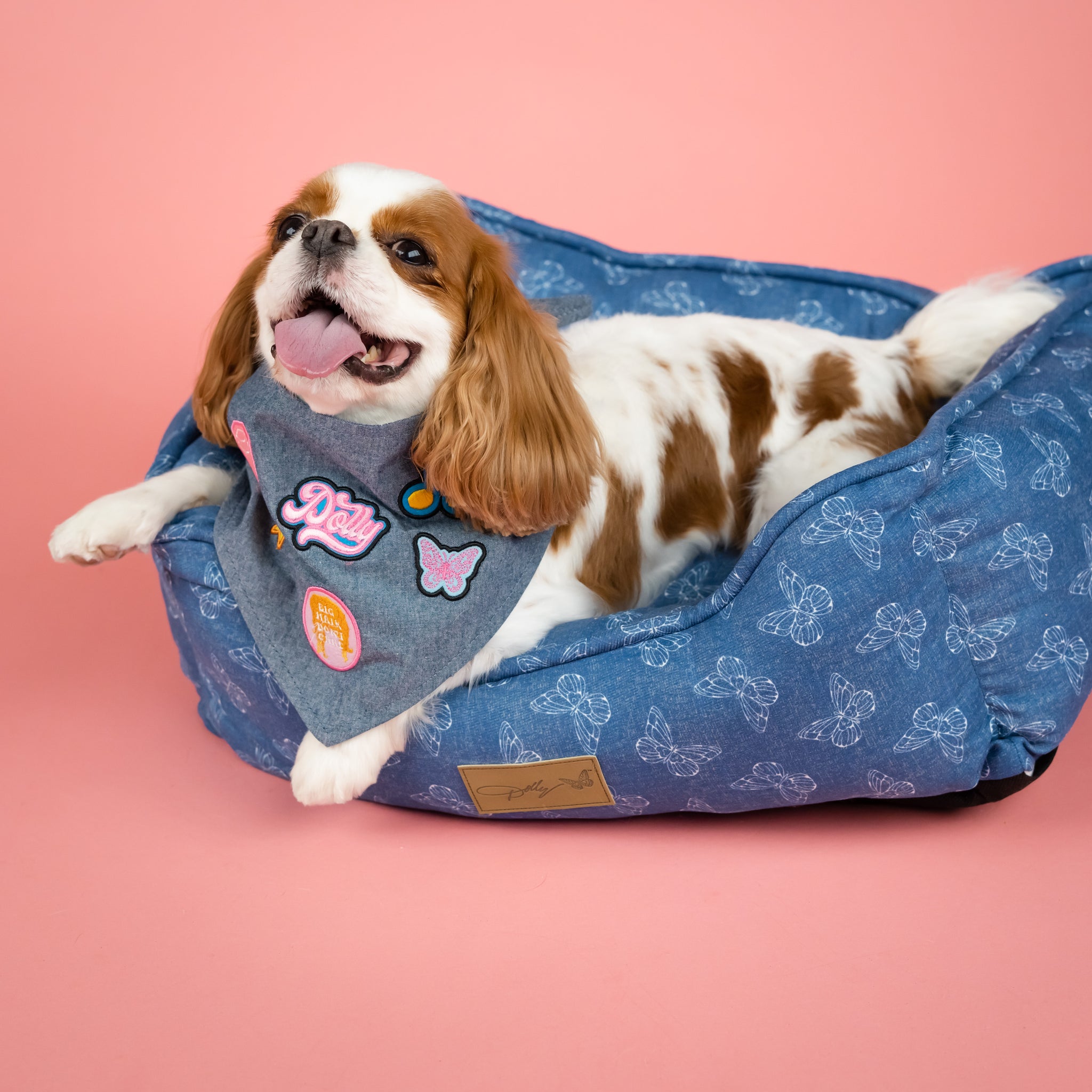 Rustic Denim Butterfly Cuddle Bed For Pets - Blue – Doggy Parton