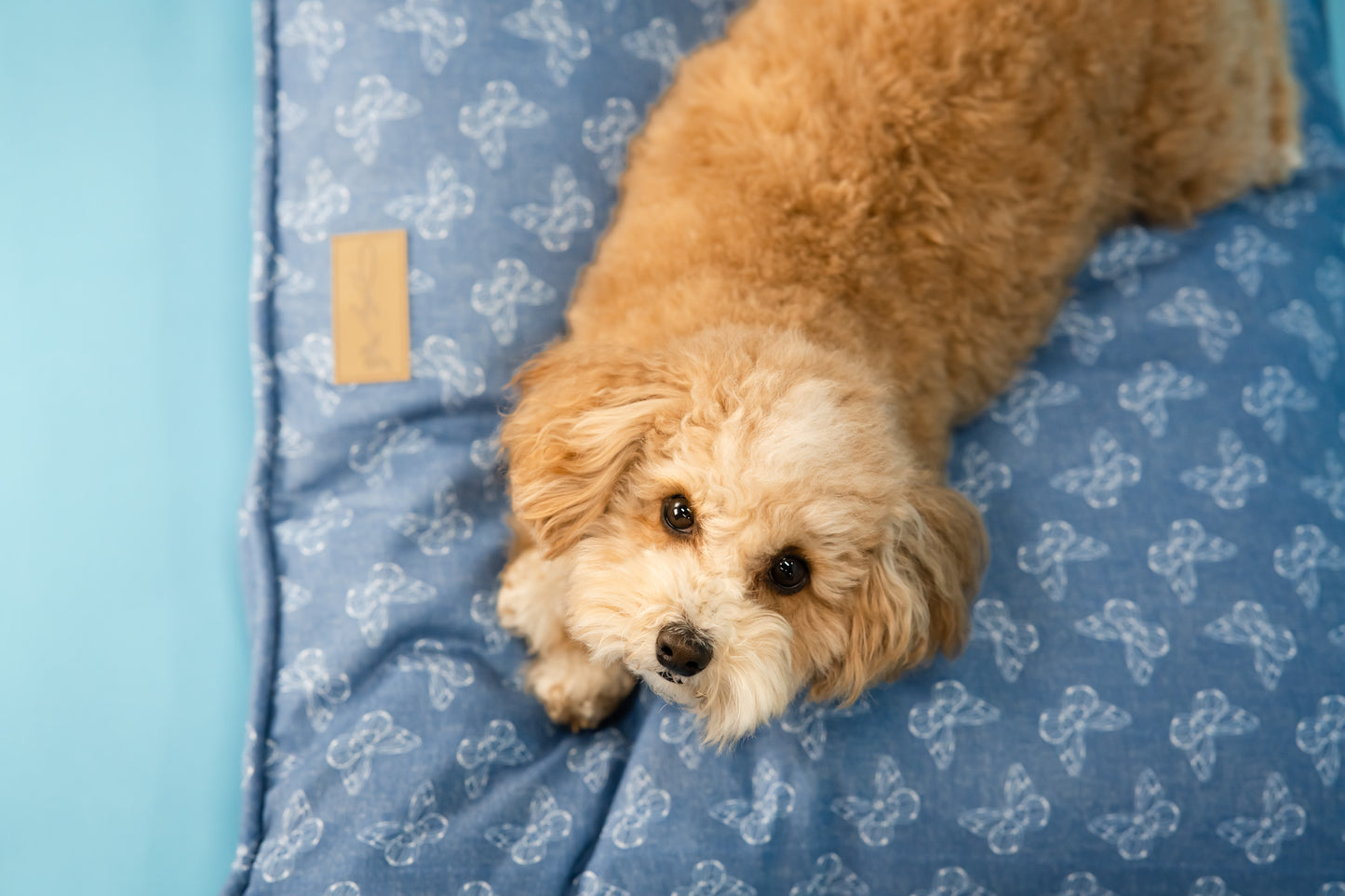 Rustic Denim Envelope Bed for Pets - Blue