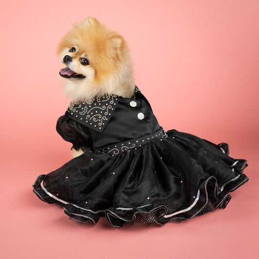 Shimmering Pet Evening Dress - Black