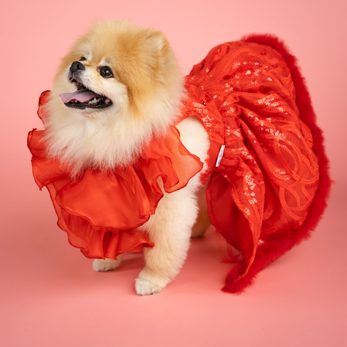 Evening Star Pet Gown - Red
