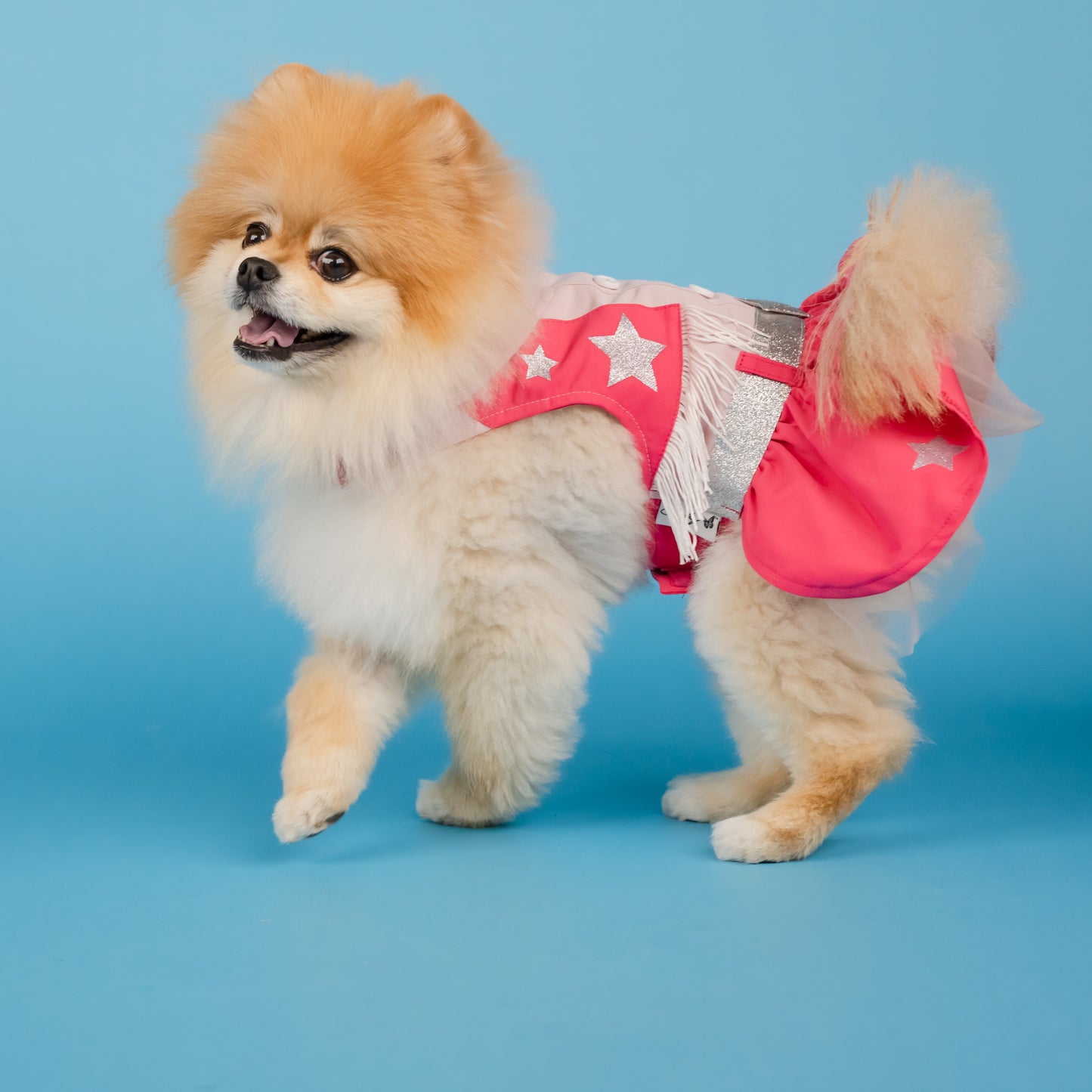 Glittery Stars Cowgirl Dress for Pets - Pink