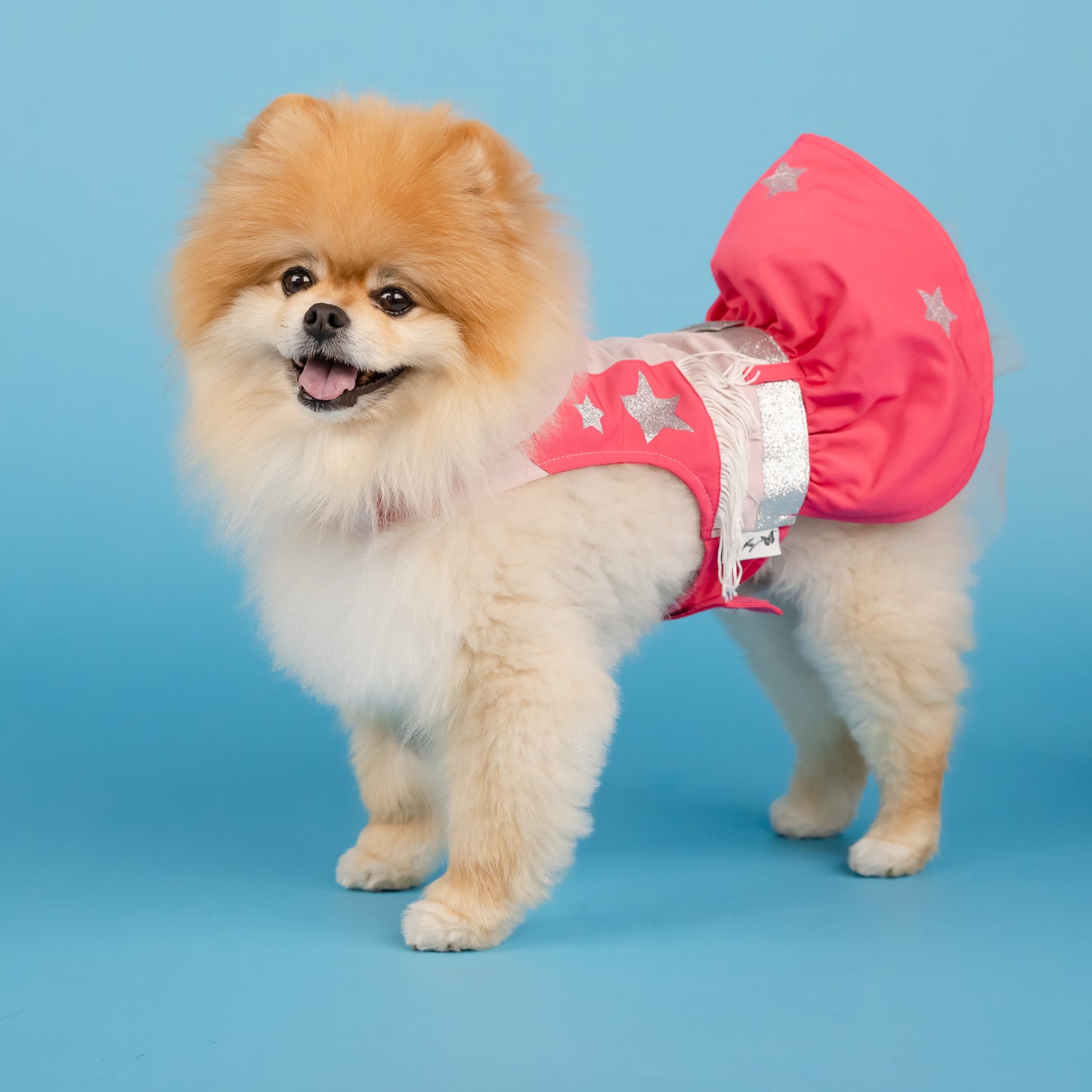 Glittery Stars Cowgirl Dress for Pets - Pink