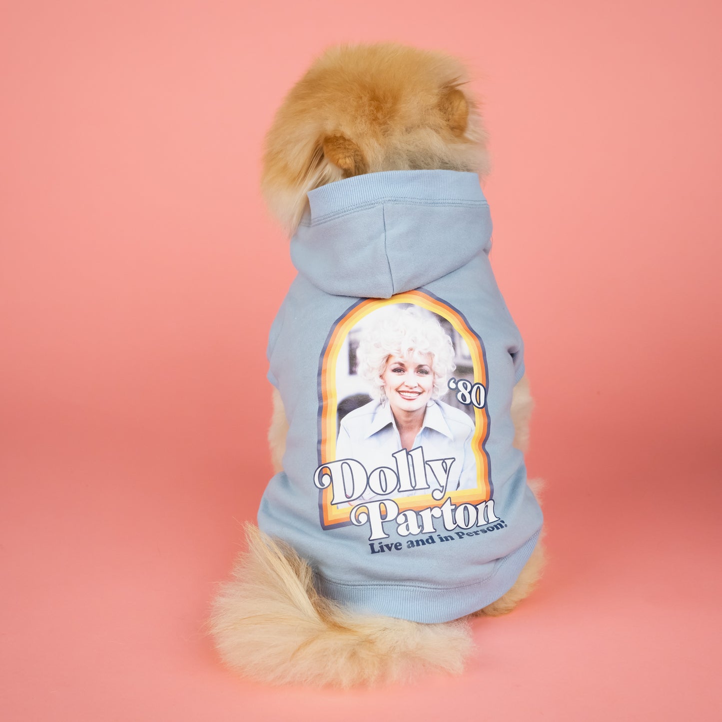 Dolly Parton Retro Pet Hoodie - Blue