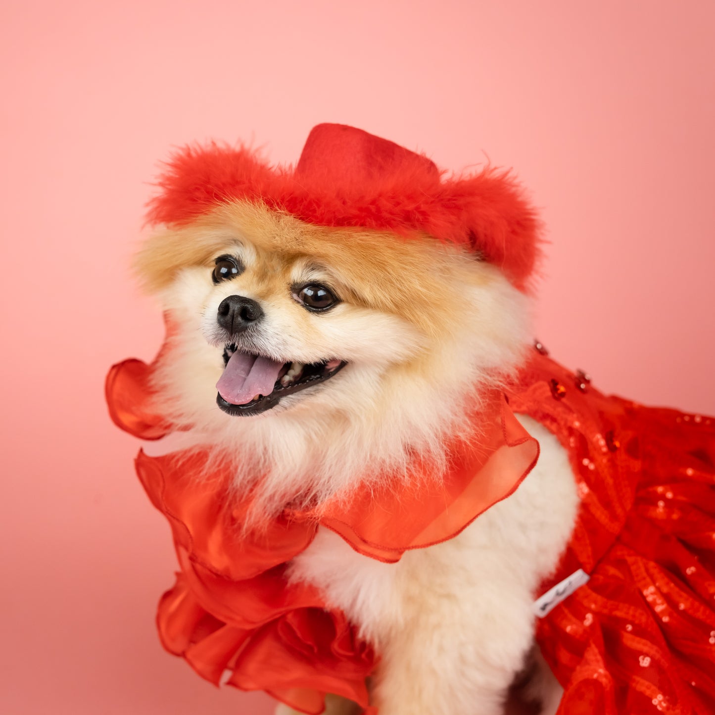 Red Fur-Trimmed Cowboy Hat for Pets