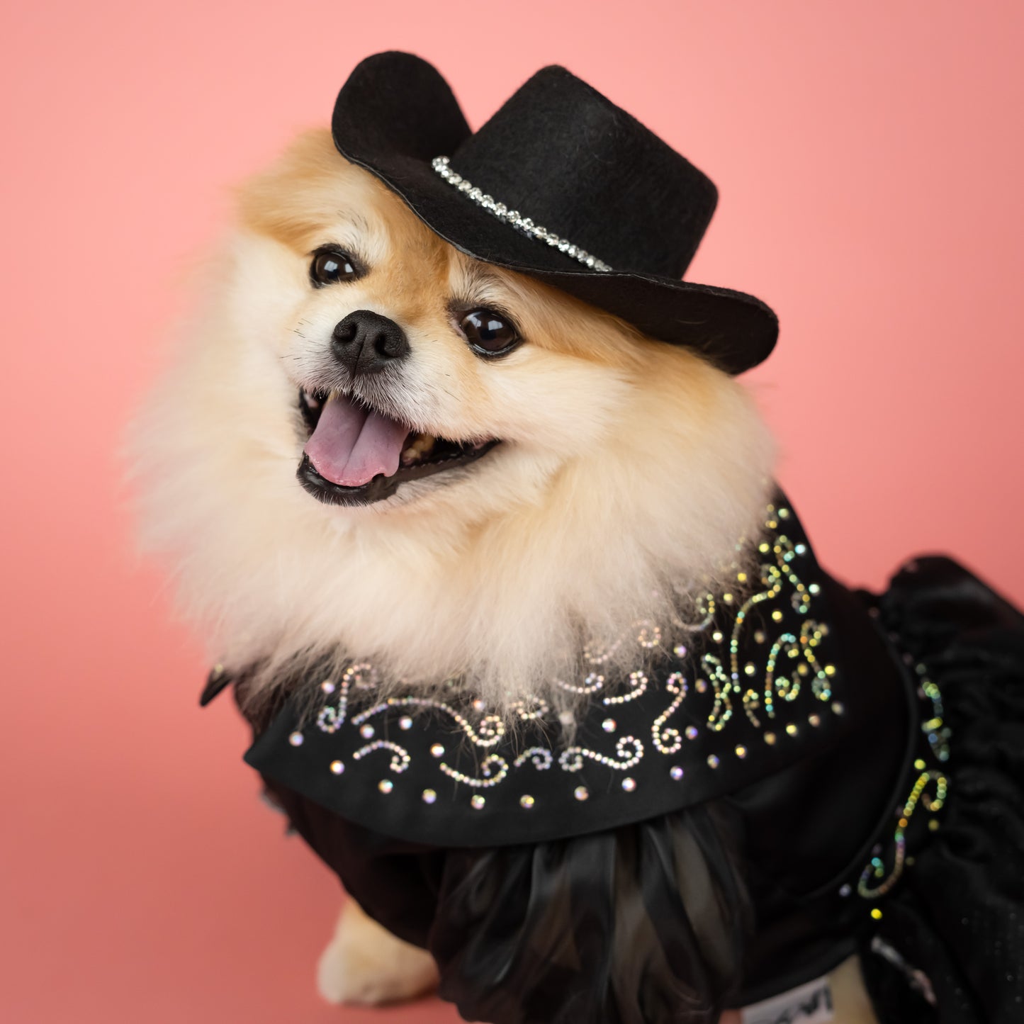 Black Rhinestone Trim Cowboy Hat for Pets