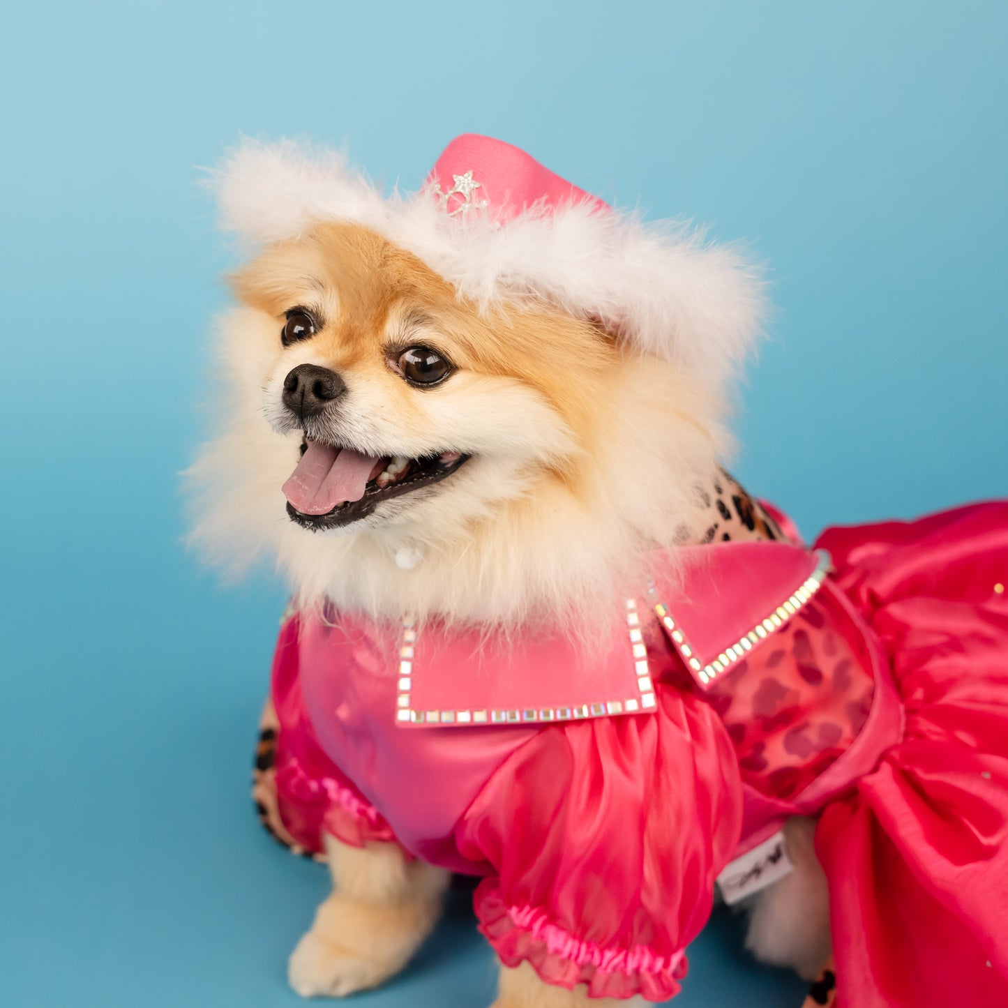 Pink Cowgirl Hat with Silver Tiara Accent for Pets