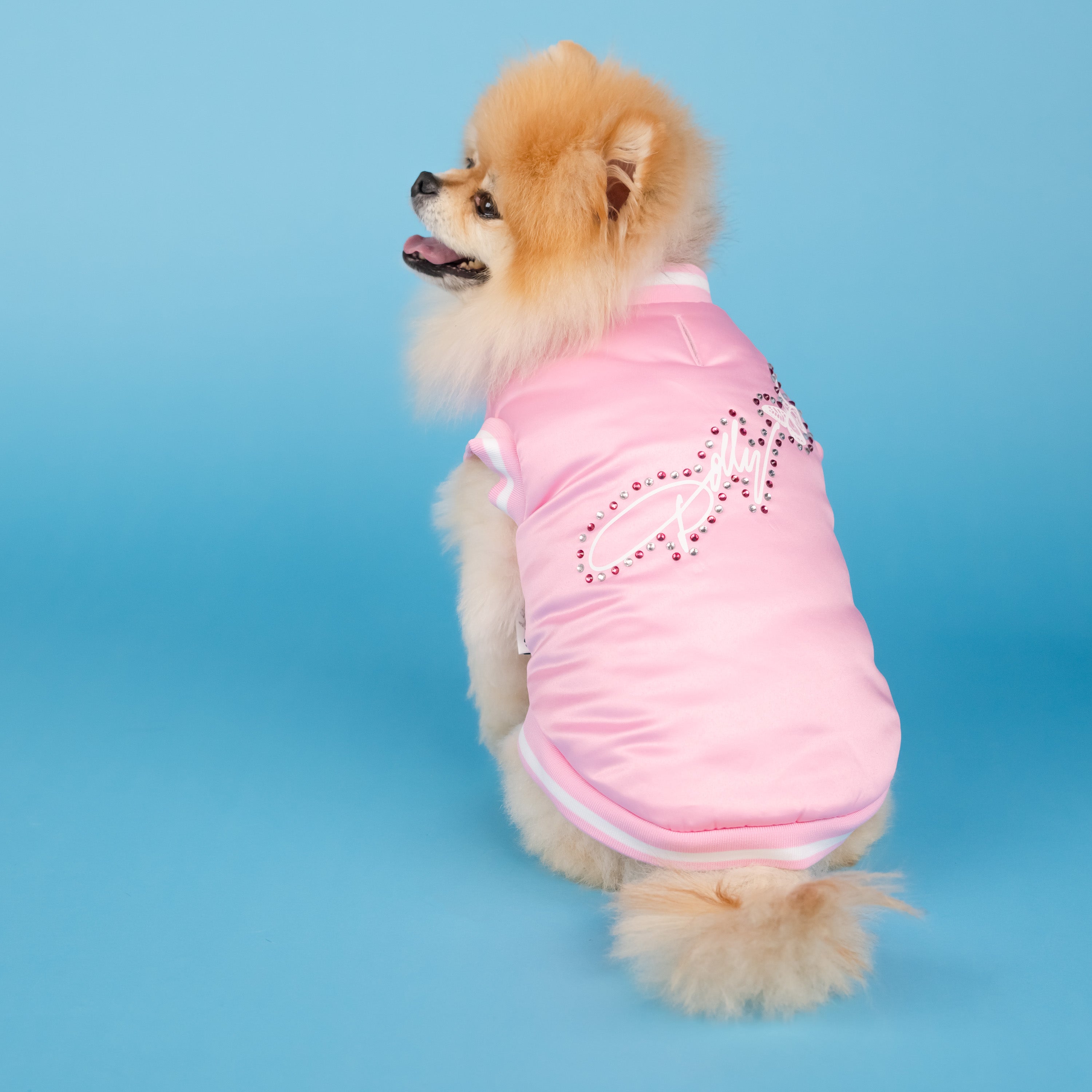 Dolly Rhinestone Varsity Pet Jacket Pink Doggy Parton