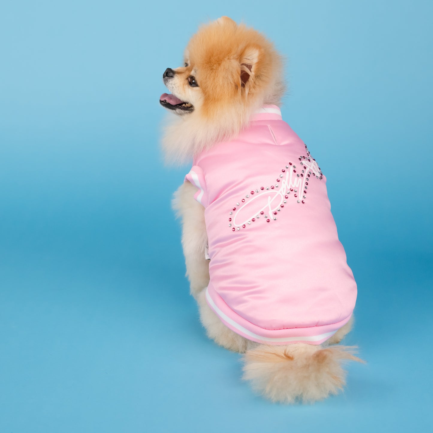 Dolly Rhinestone Varsity Pet Jacket - Pink