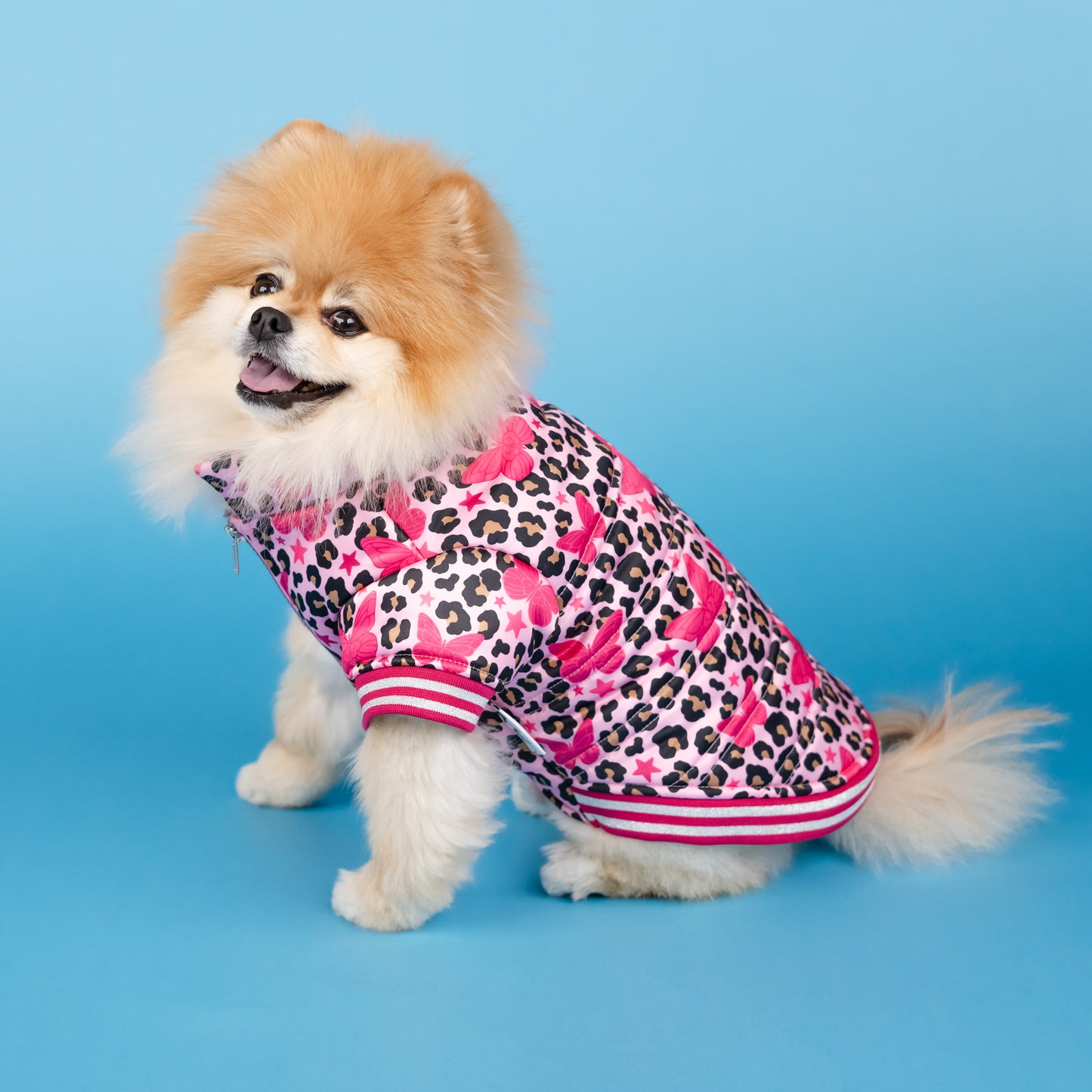 Dolly Butterfly Puffer Pet Jacket - Pink