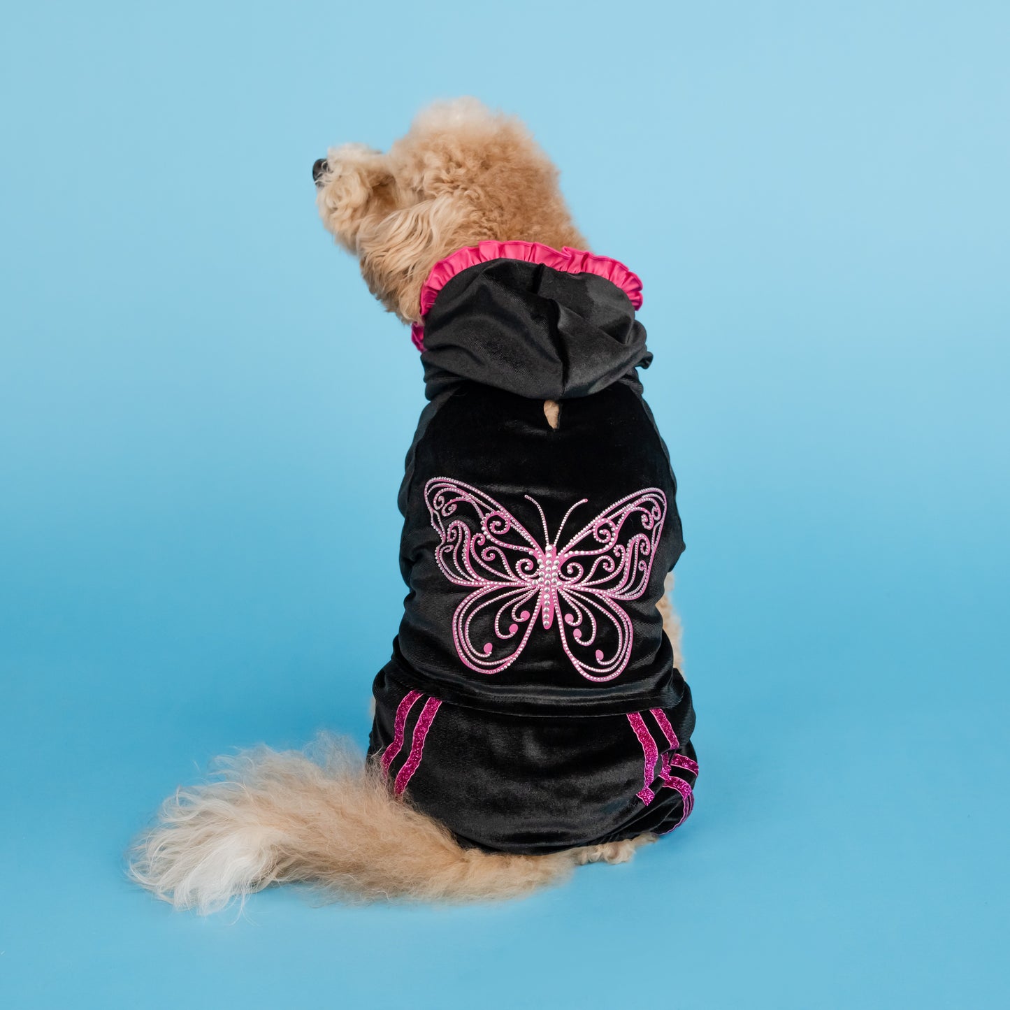 Dolly Sparkle Butterfly Pet Track Suit - Black