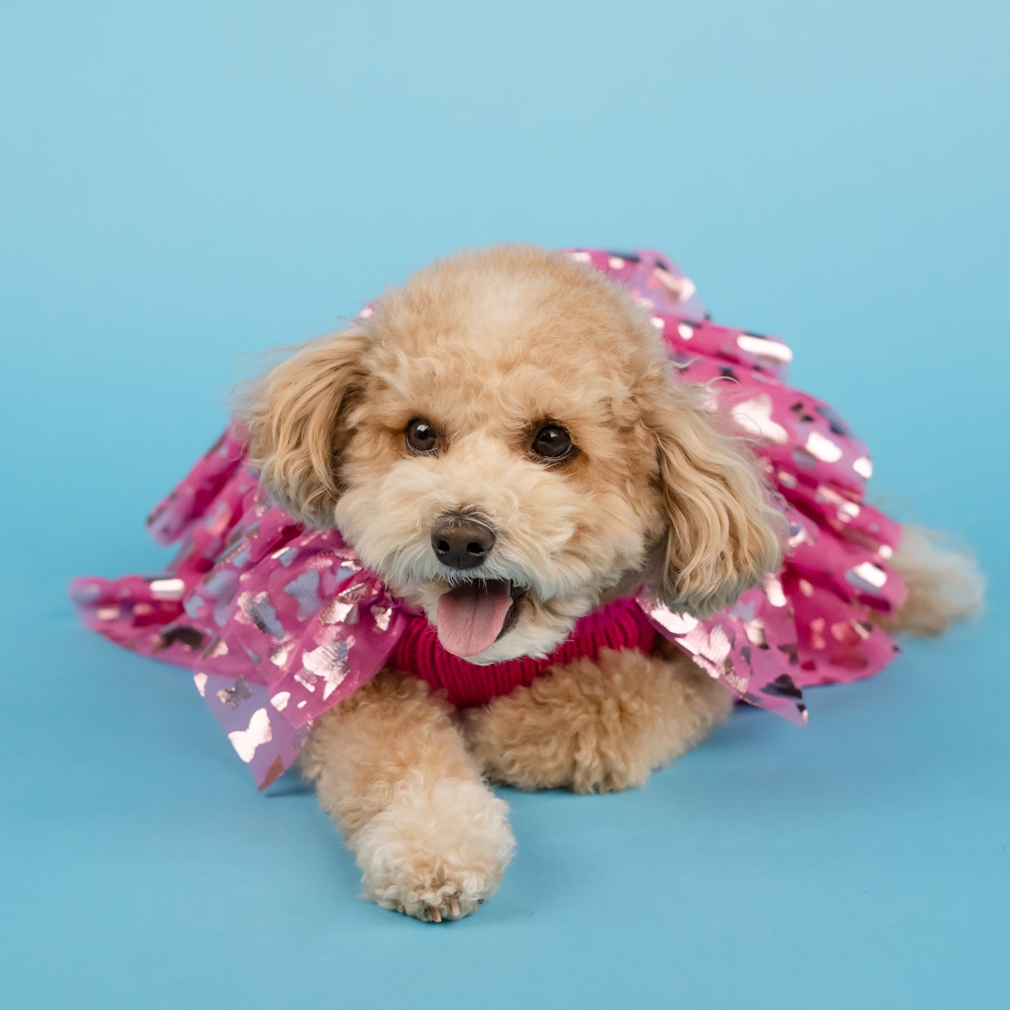 Dolly Ruffle Sweater and Skirt Set for Pets - Pink