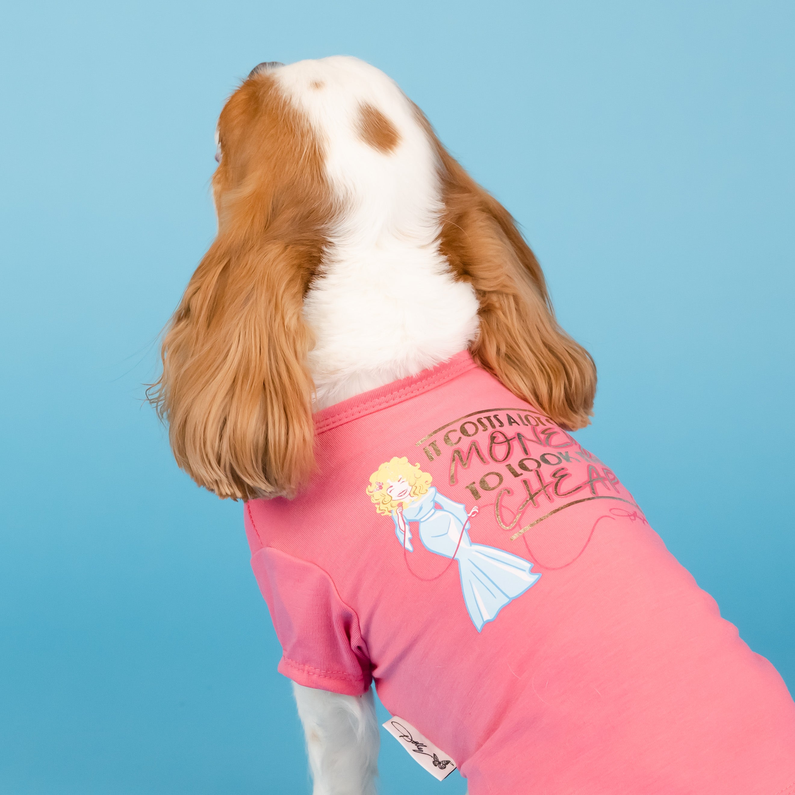 To Look This Cheap Pet T Shirt Pink Doggy Parton