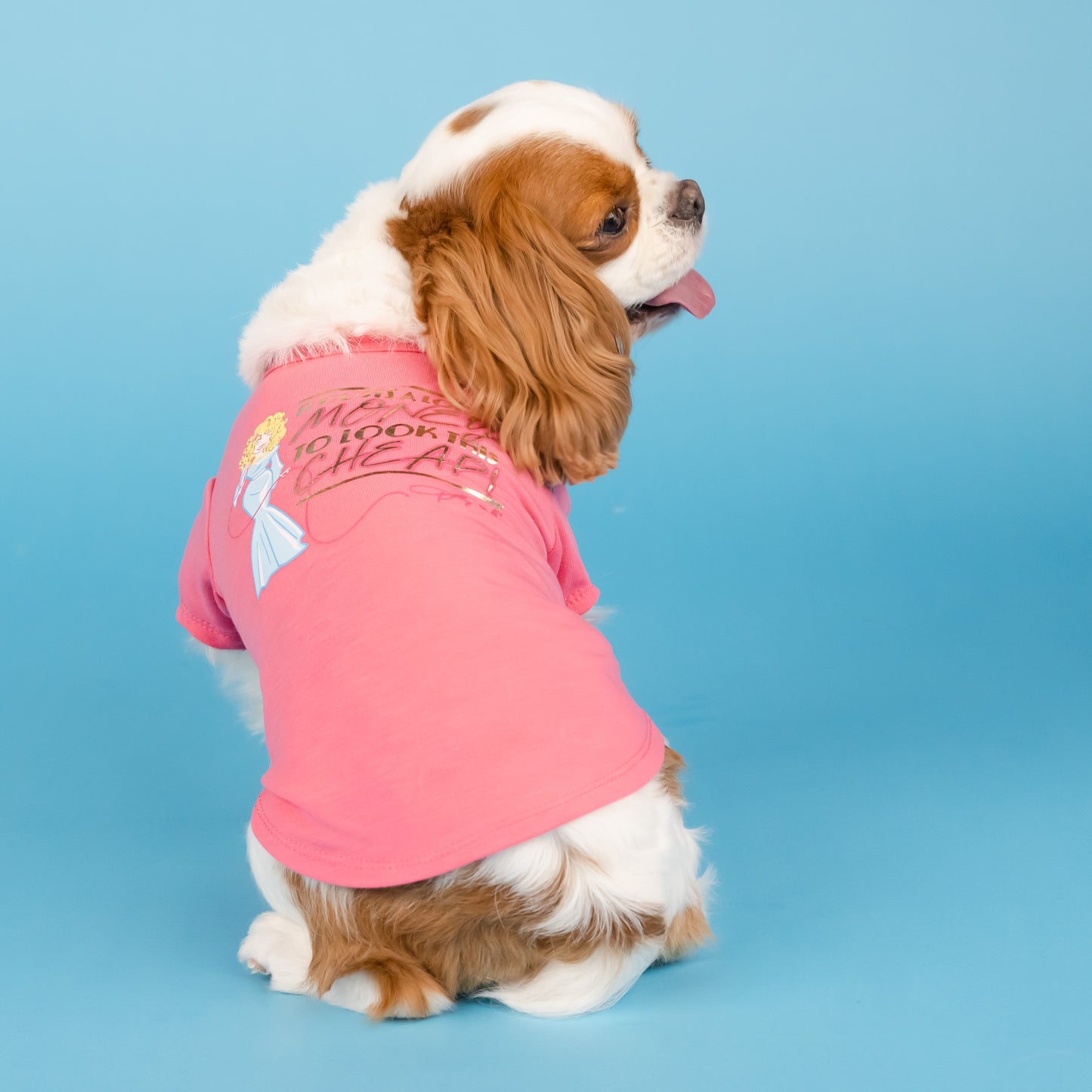 To Look This Cheap Pet T-Shirt - Pink