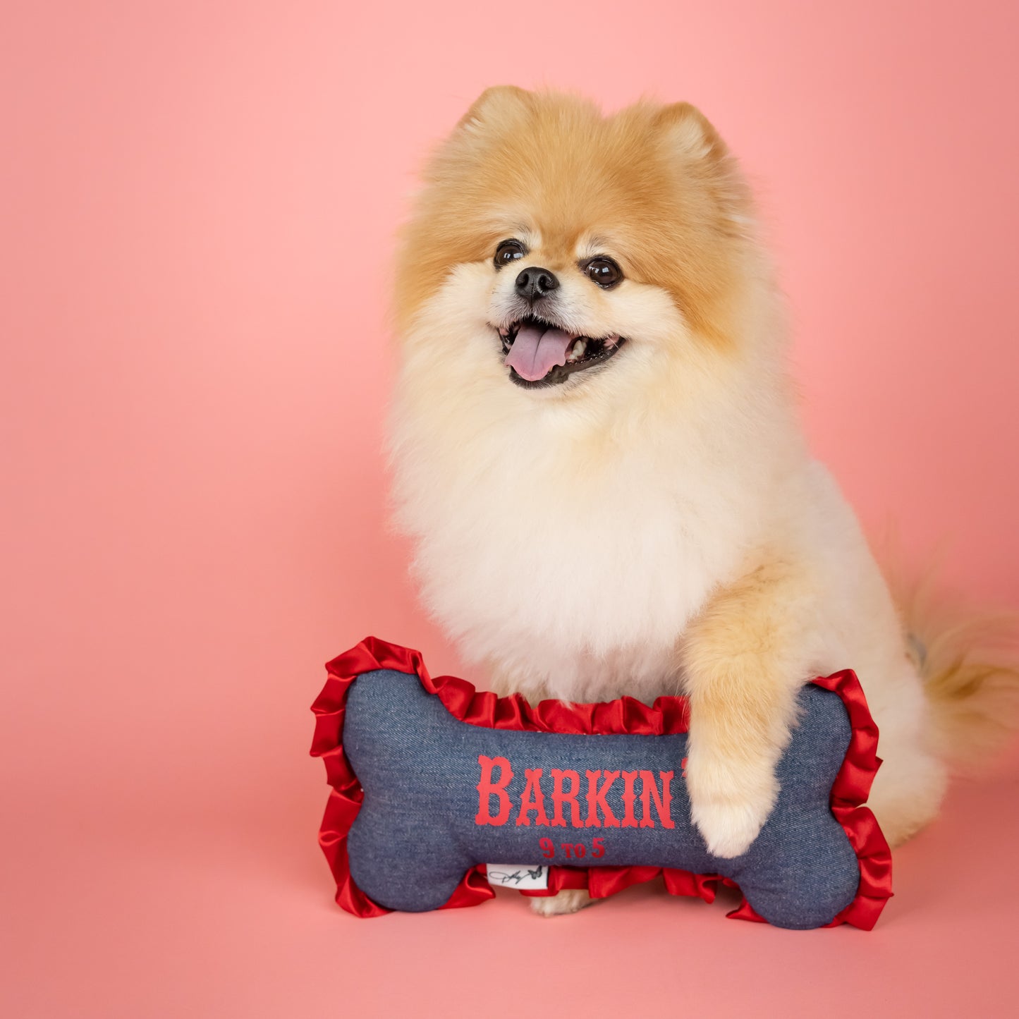 Barkin’ 9 to 5 Plush Bone Dog Toy